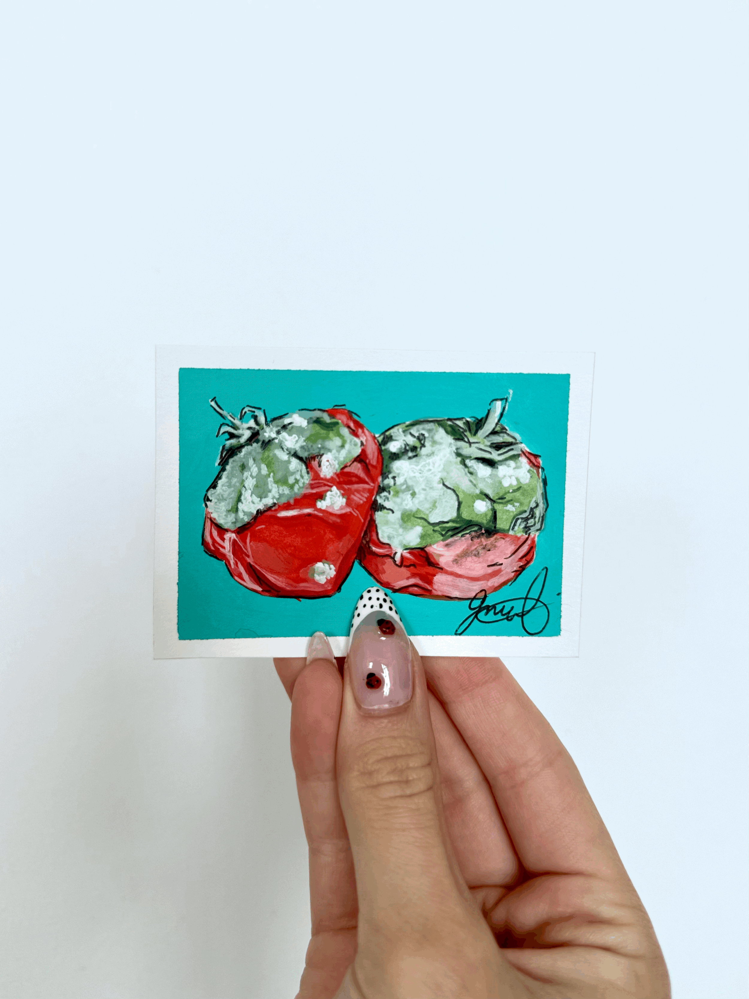Tomato Tomato