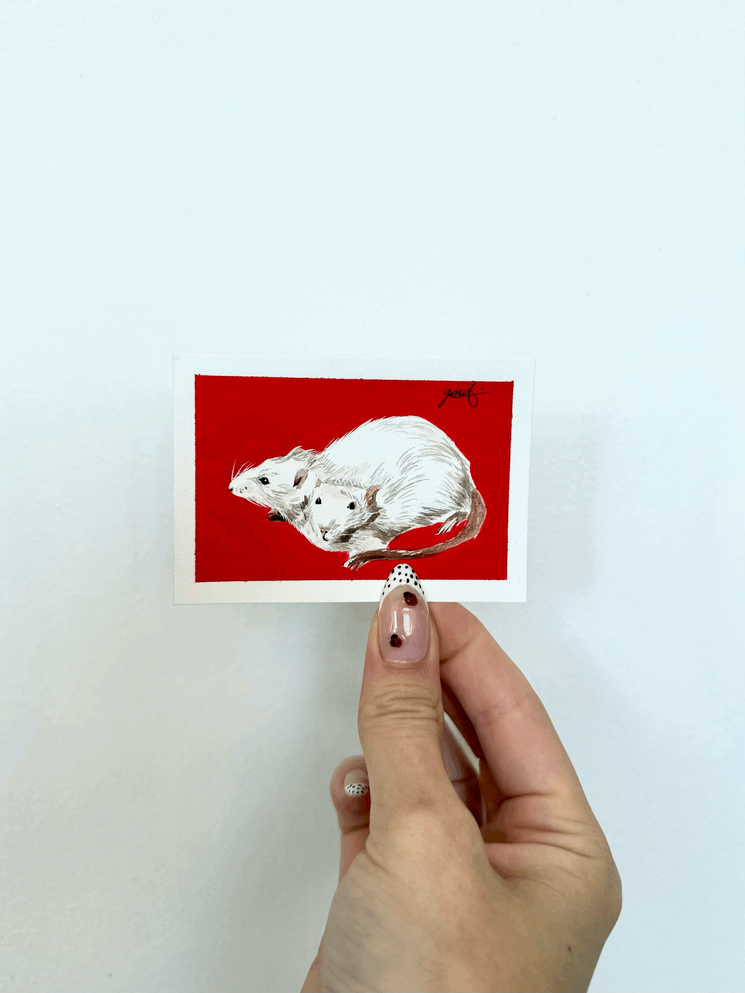 Rats!