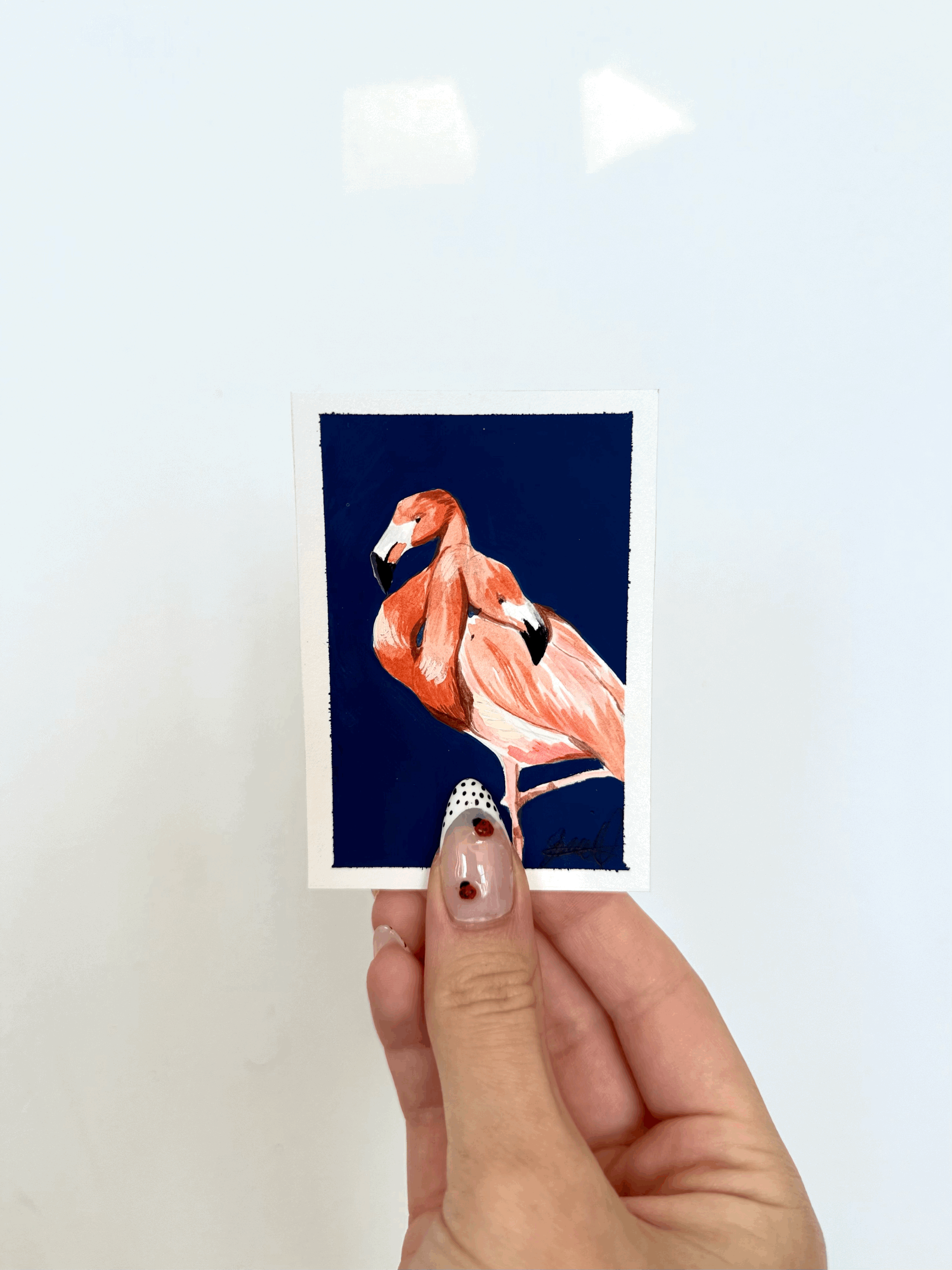 Flamingo(s)
