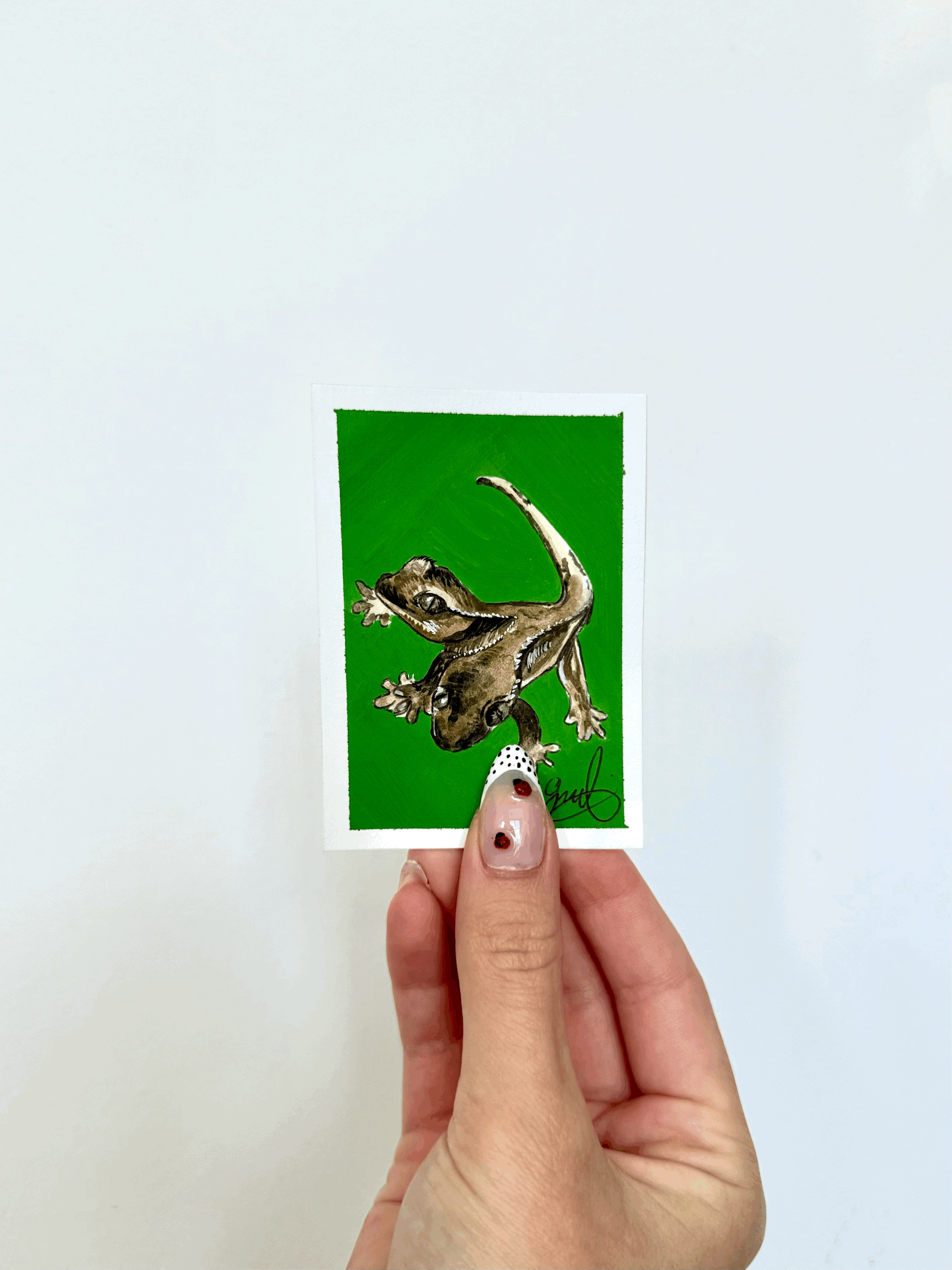 Gecko(s)