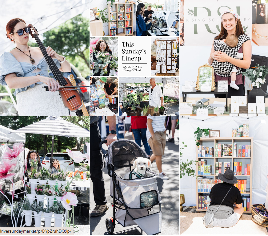 A collage of images from a Sunday market. Includes a woman playing a ukulele, people shopping at various stalls, a woman holding a baby at a booth, a flower stand with pink flowers, a woman with a dog in a stroller, a person browsing a bookshelf, and people enjoying outdoor market activities.