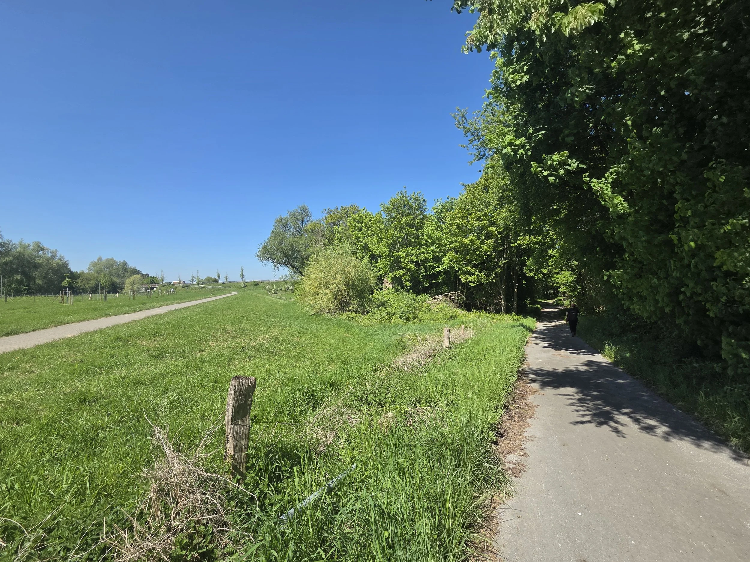 Weg zum Fort.jpg