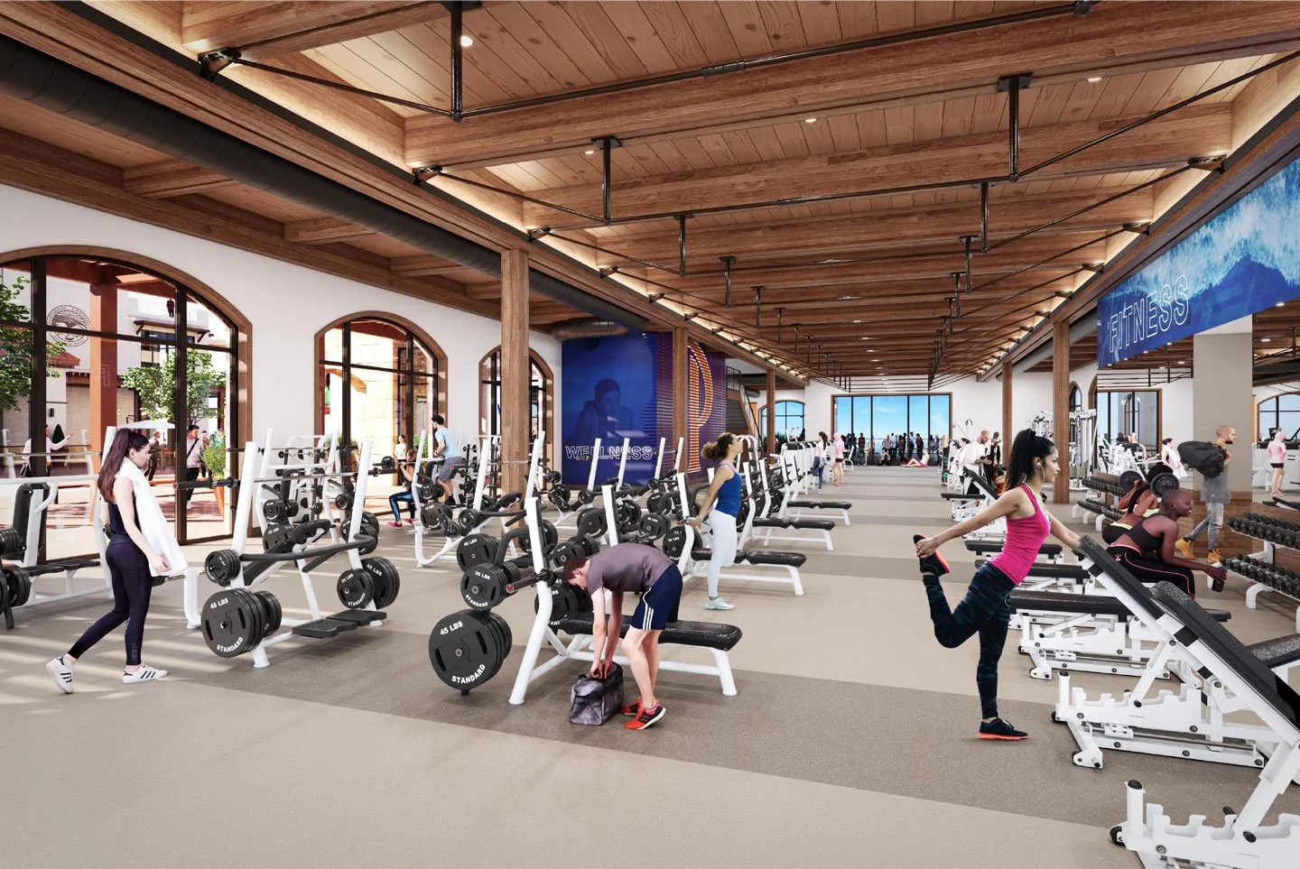 mountain-gym-lg.jpg