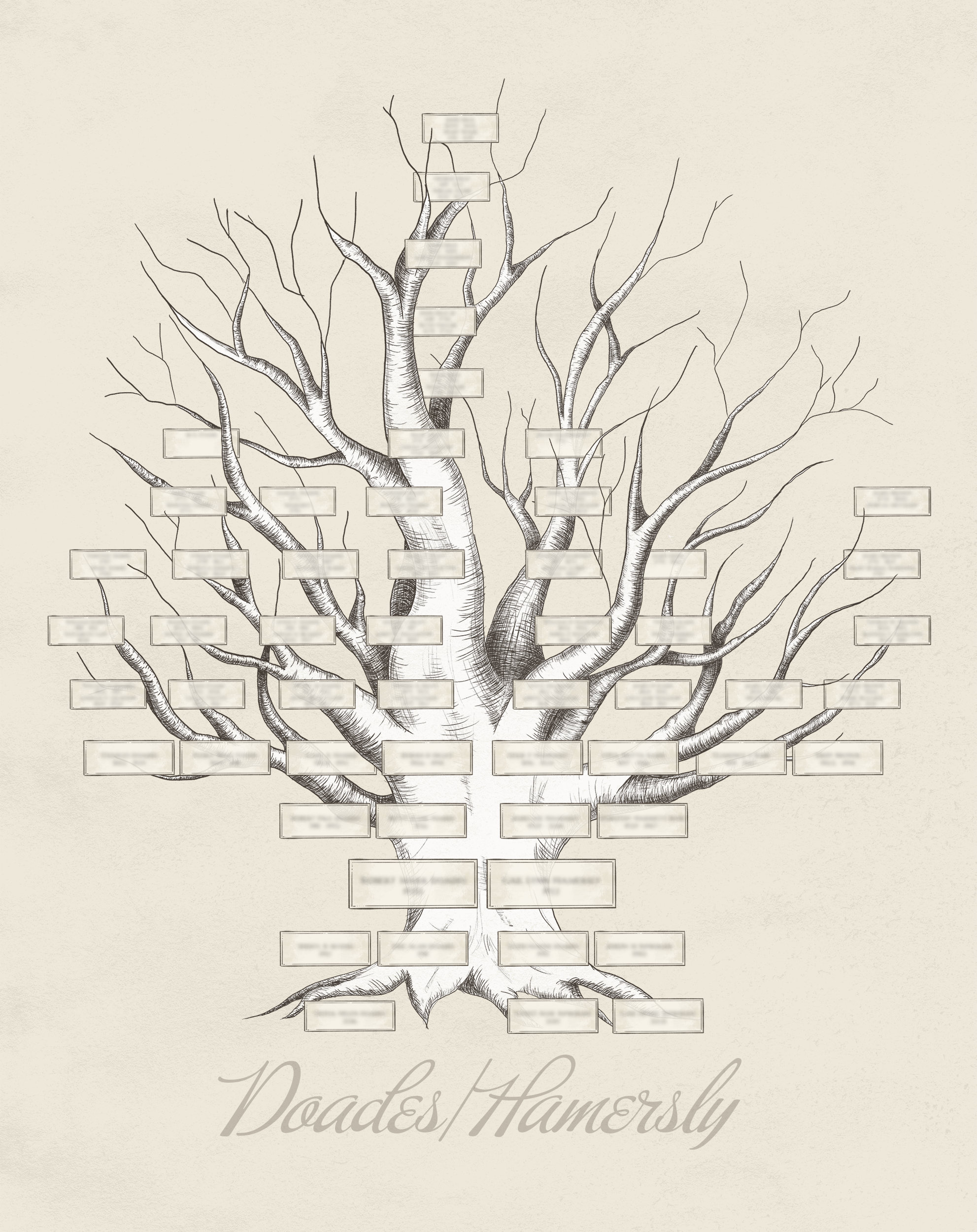 Family_Tree_Portfolio copy.png