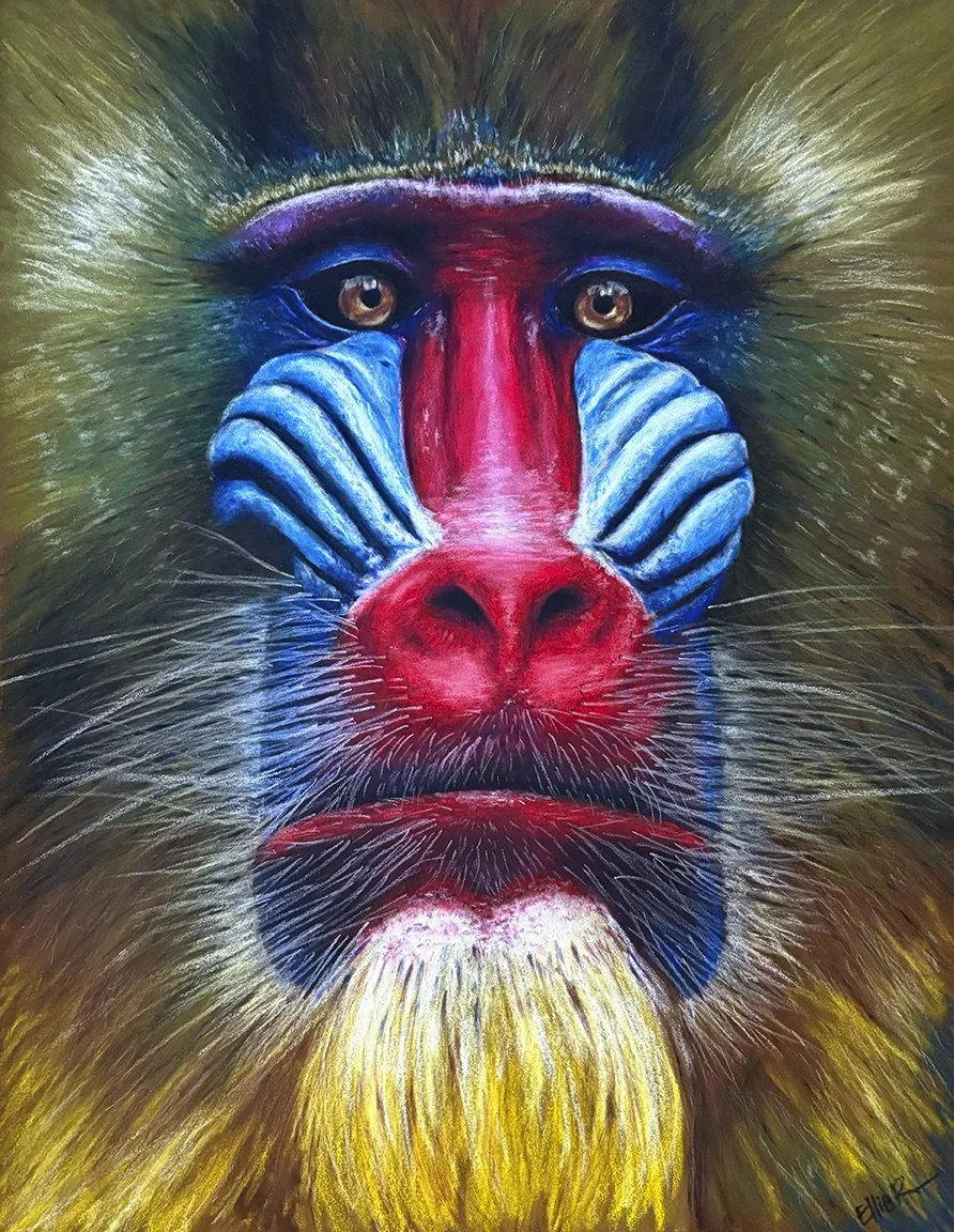Patriarch - Soft Pastel - 12.5x16.jpg