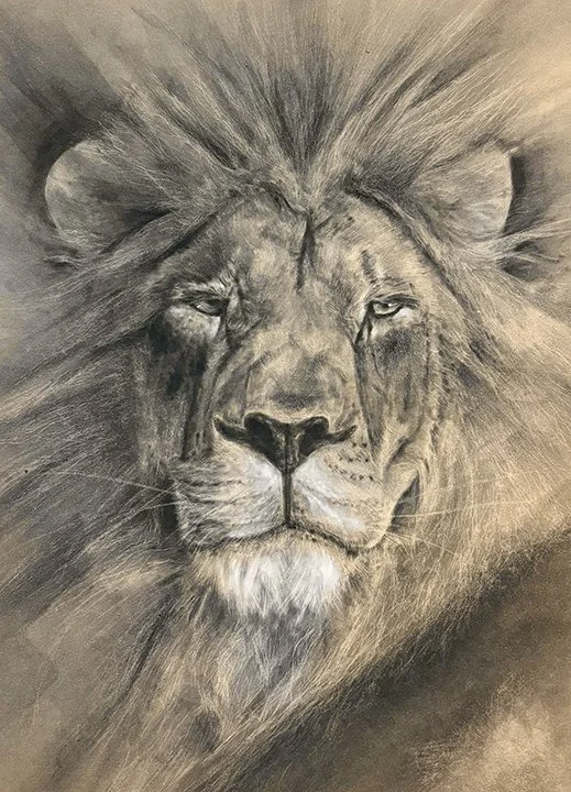 Reign - Soft Pastel - 18x24.jpg
