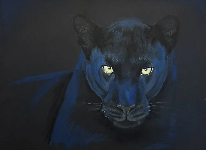 Silent Stare - Oil Pastel - 18x24.jpg