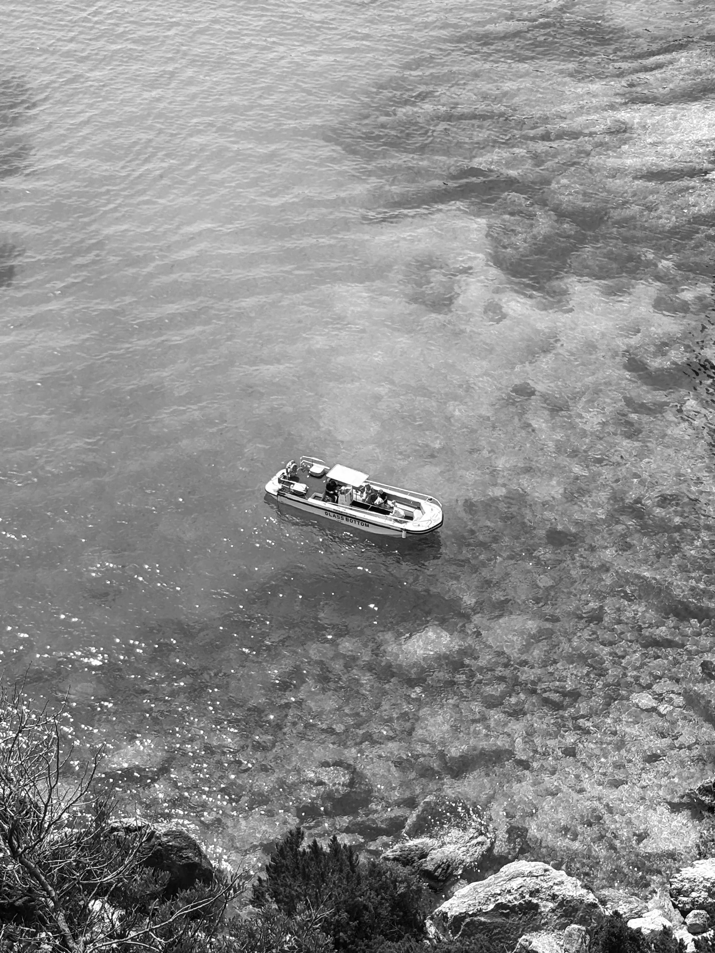 A boat with people on calm water near rocky shoreline, with trees in the foreground.