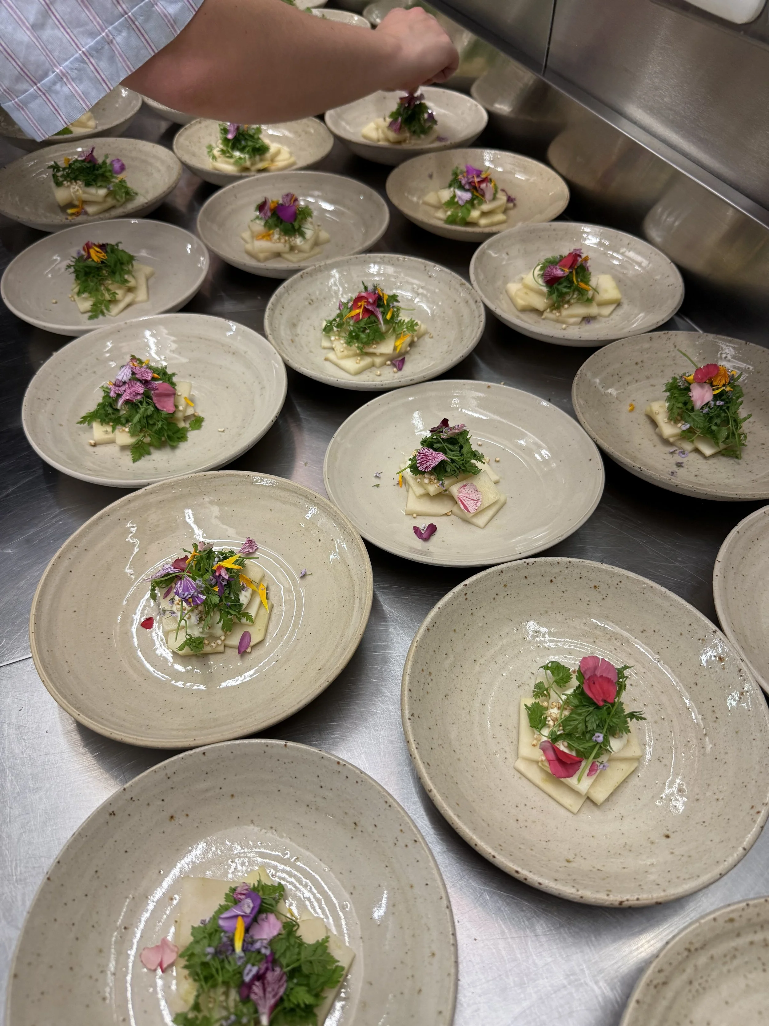 Mehrere beige Teller mit kreativ dekorierten Vorspeisen, Kohlrabi Ceviche, die mit frischen Kräutern, essbaren Blumen und kleinen Snacks verziert sind. Pflege und Aufmerksamkeit bei der Anordnung sind sichtbar.