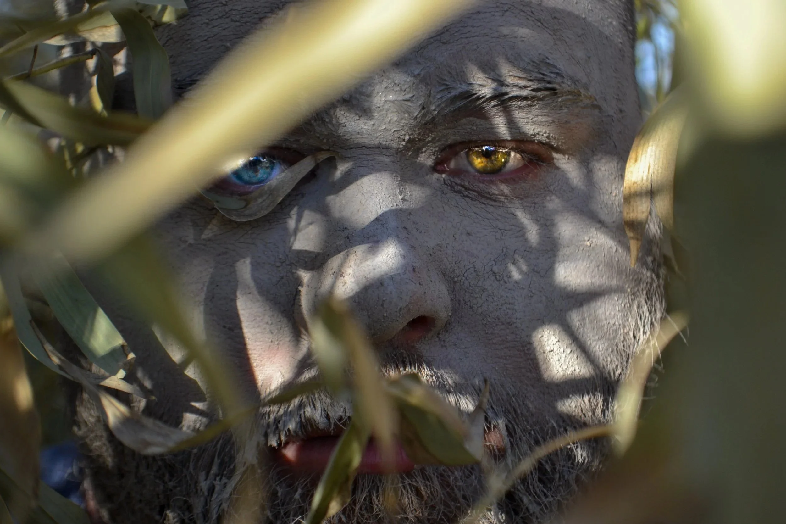 DSC_0486.jpg