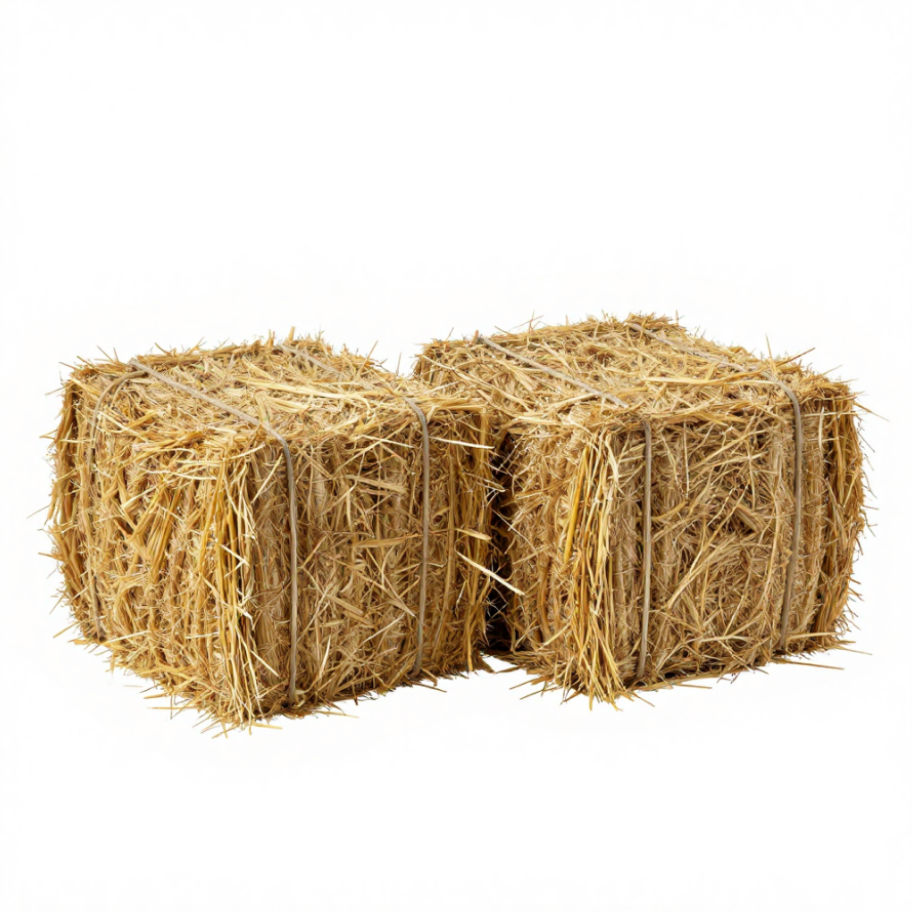 Straw Hay Bales.png