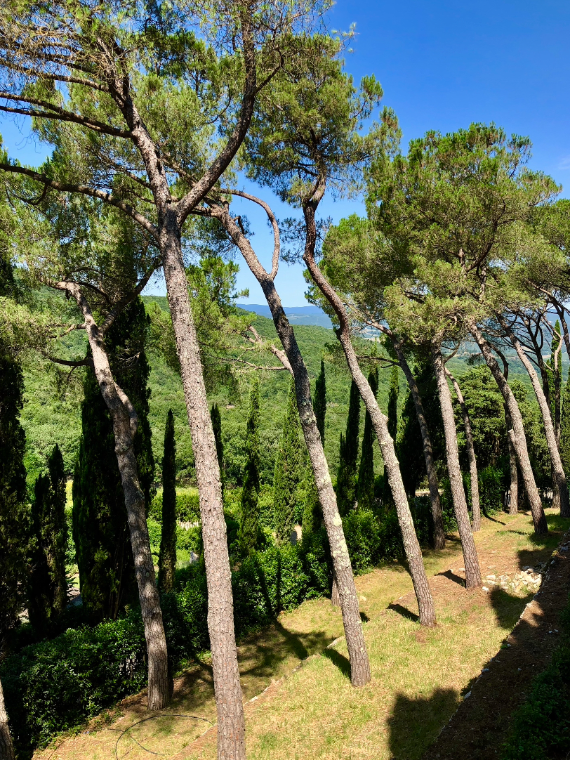 Italy_Trip_19.png