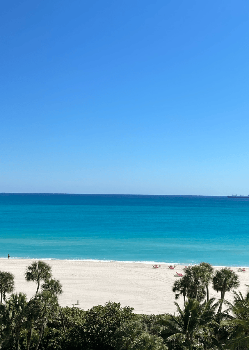 Miami_Trip_10.png