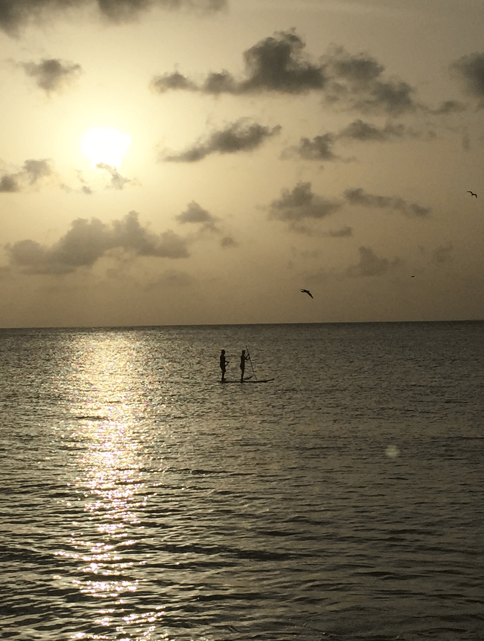 Anguilla_Trip_16.png