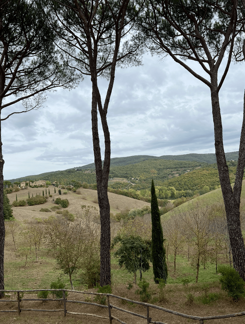 Italy_Trip_24.png