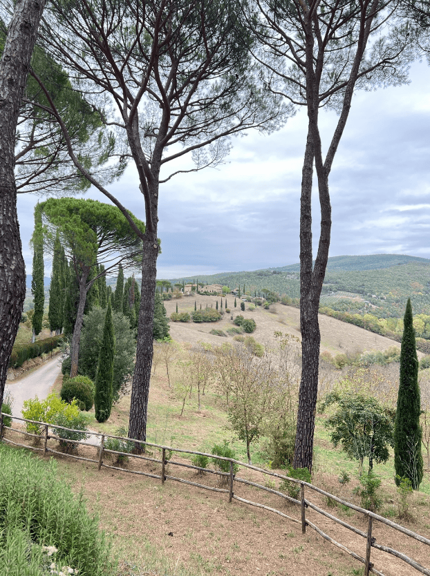 Italy_Trip_55.png
