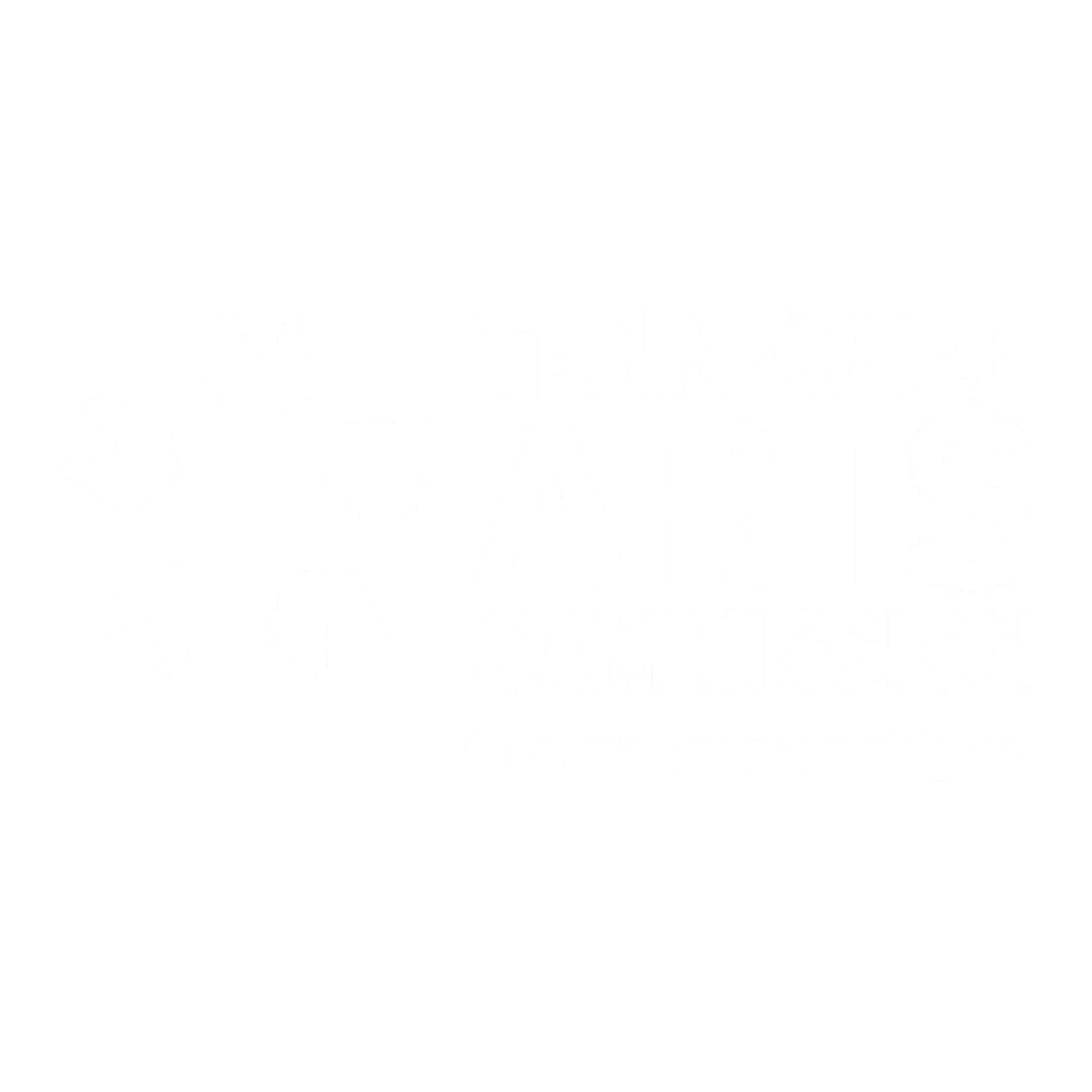 The Tennessee Arts Commission logo on The Dixie PAC website.