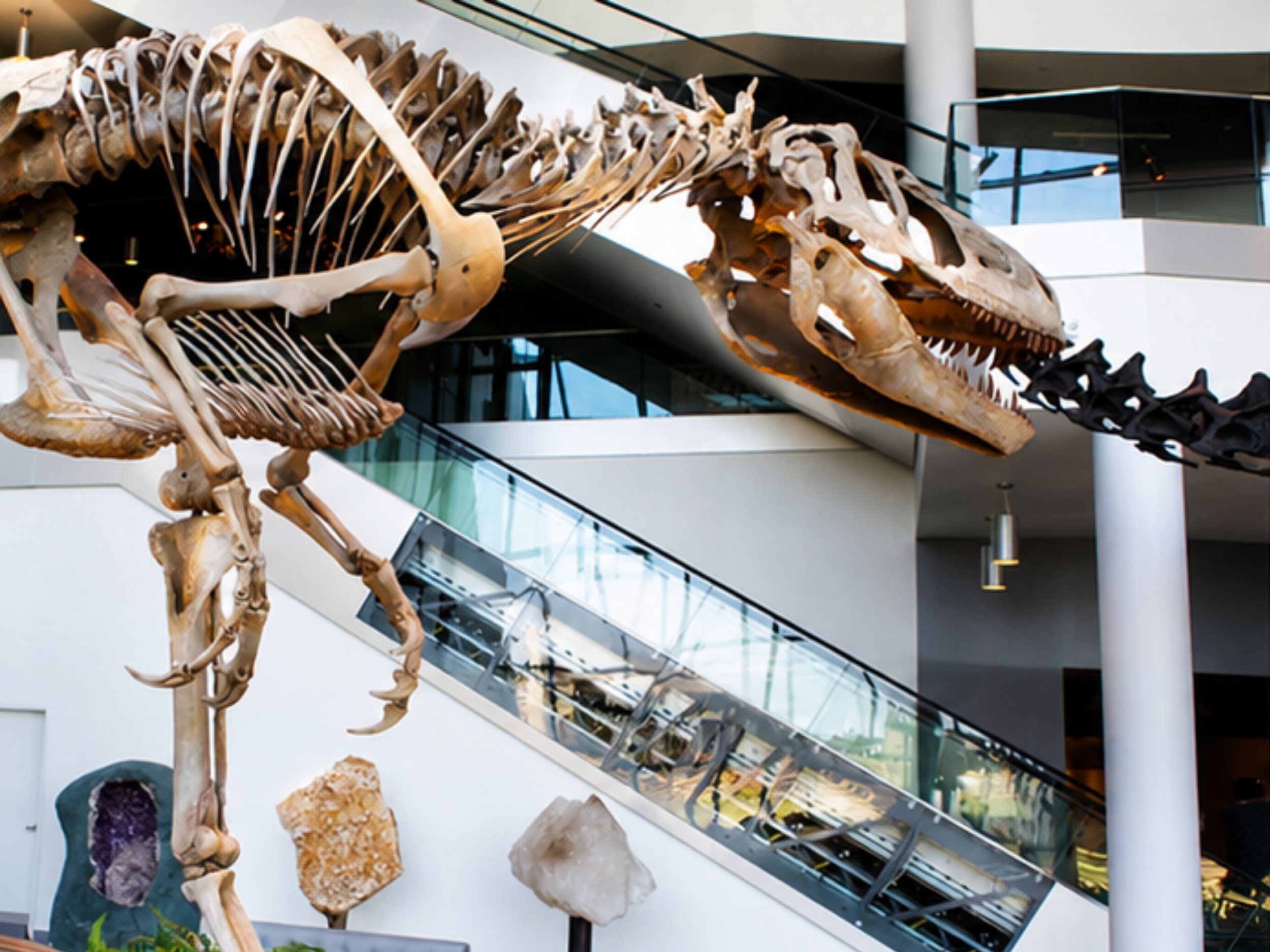 Visit Discovery Park of America, a museum and heritage park located in Union City, Tennessee during your visit to The Dixie PAC.