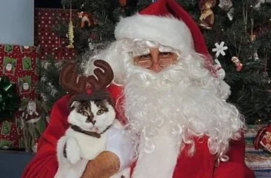 kit-kat-santa.jpg