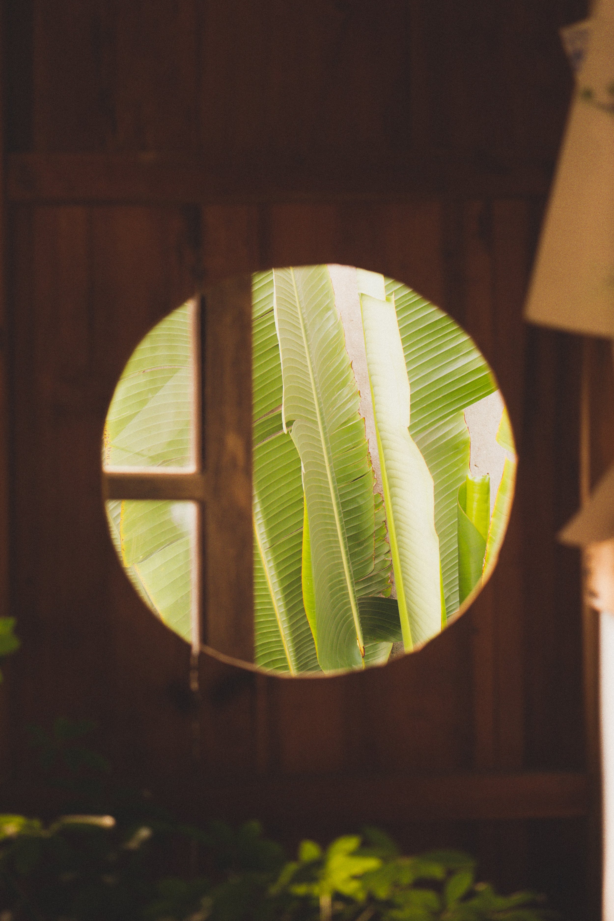 le-vu-PJ4zvxo3UZo-unsplash.jpg