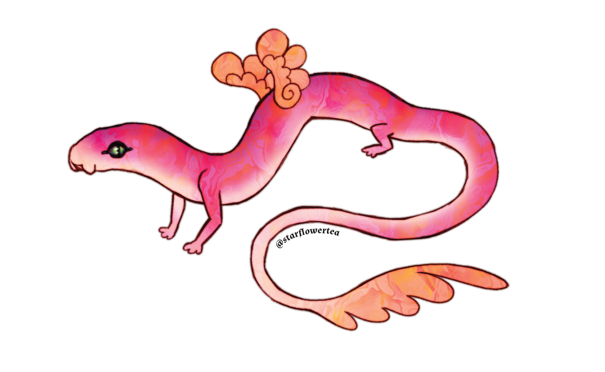 A digital drawing of a pink and orange salamander with a flower-like growth on its back, smiling. The drawing is colorful with a black outline.