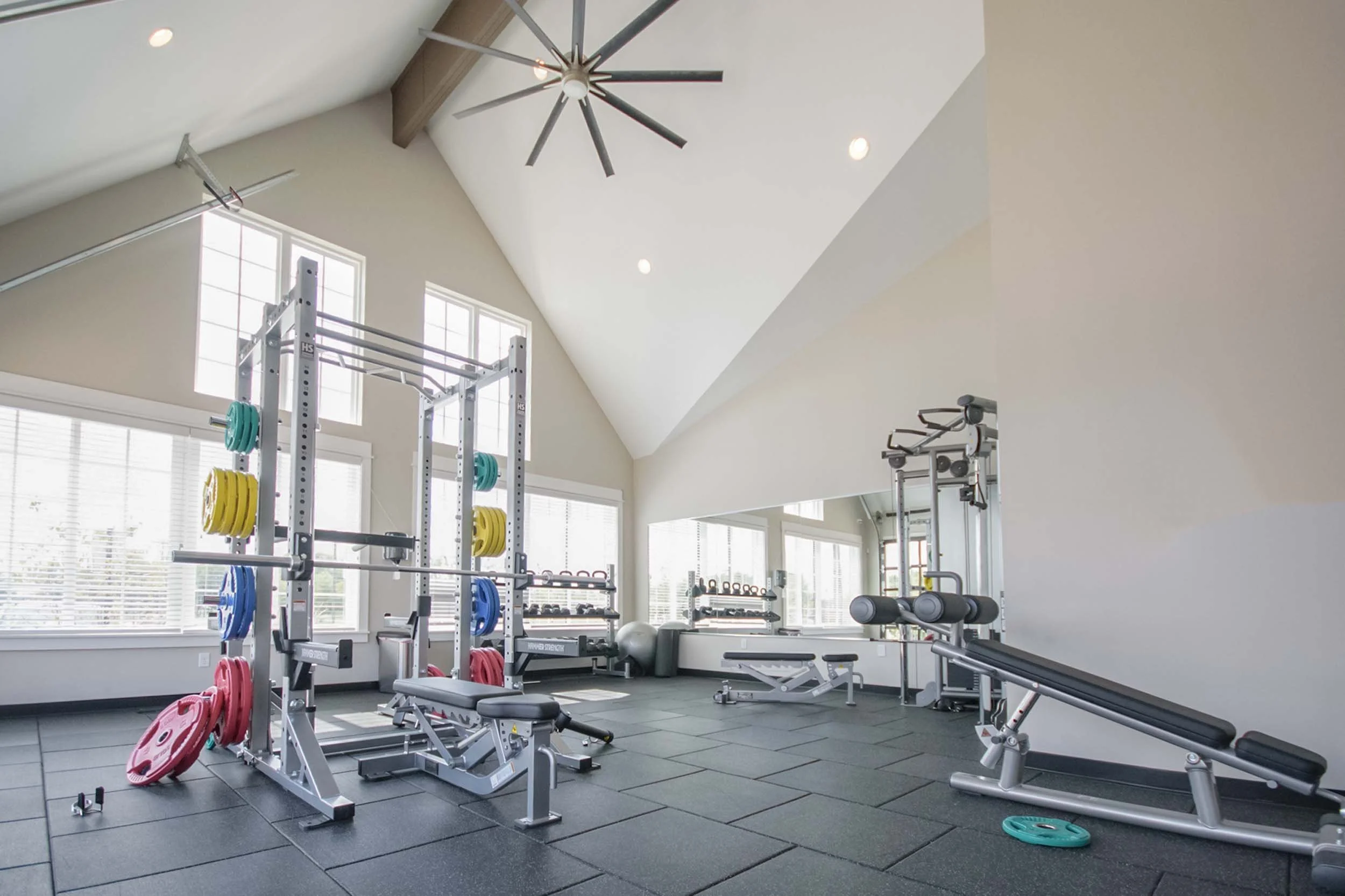 A modern home gym with weightlifting equipment, including a squat rack with colorful weight plates, a seated workout machine, and free weights, in a room with large windows and vaulted ceiling.