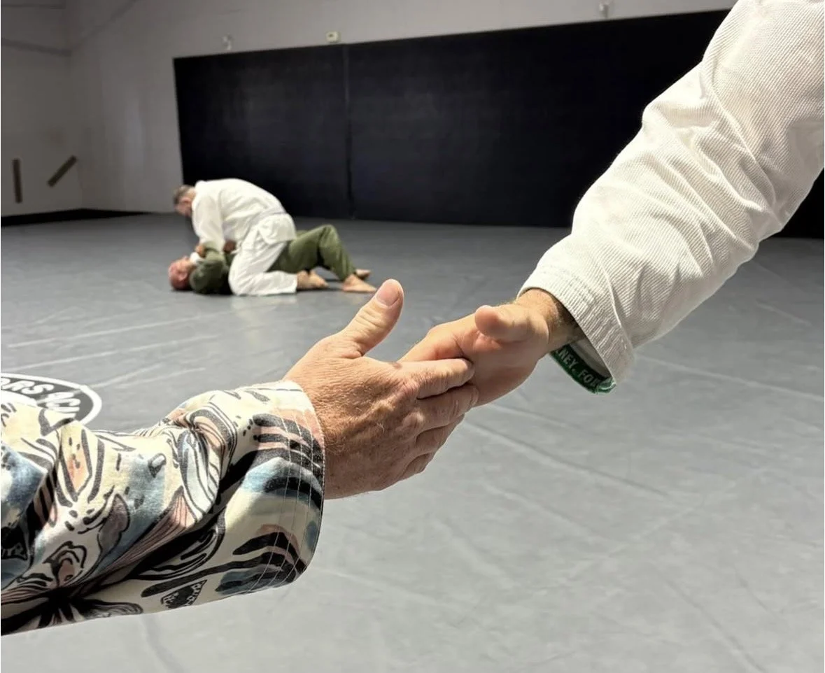 Two pages holding hands in the foreground while two individuals grapple on the mat in the background, practicing Brazilian Jiu-Jitsu or martial arts.