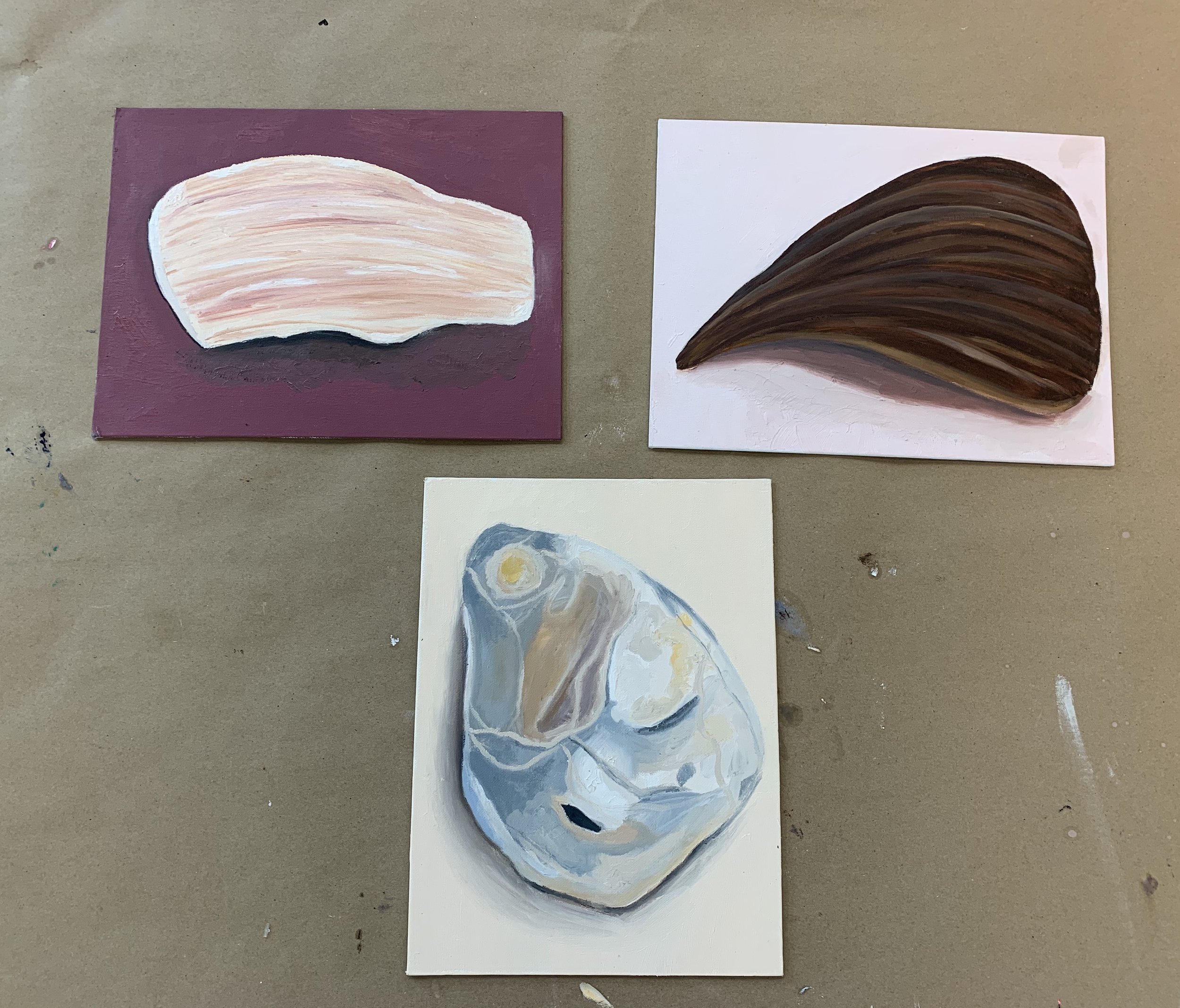 Shells | 