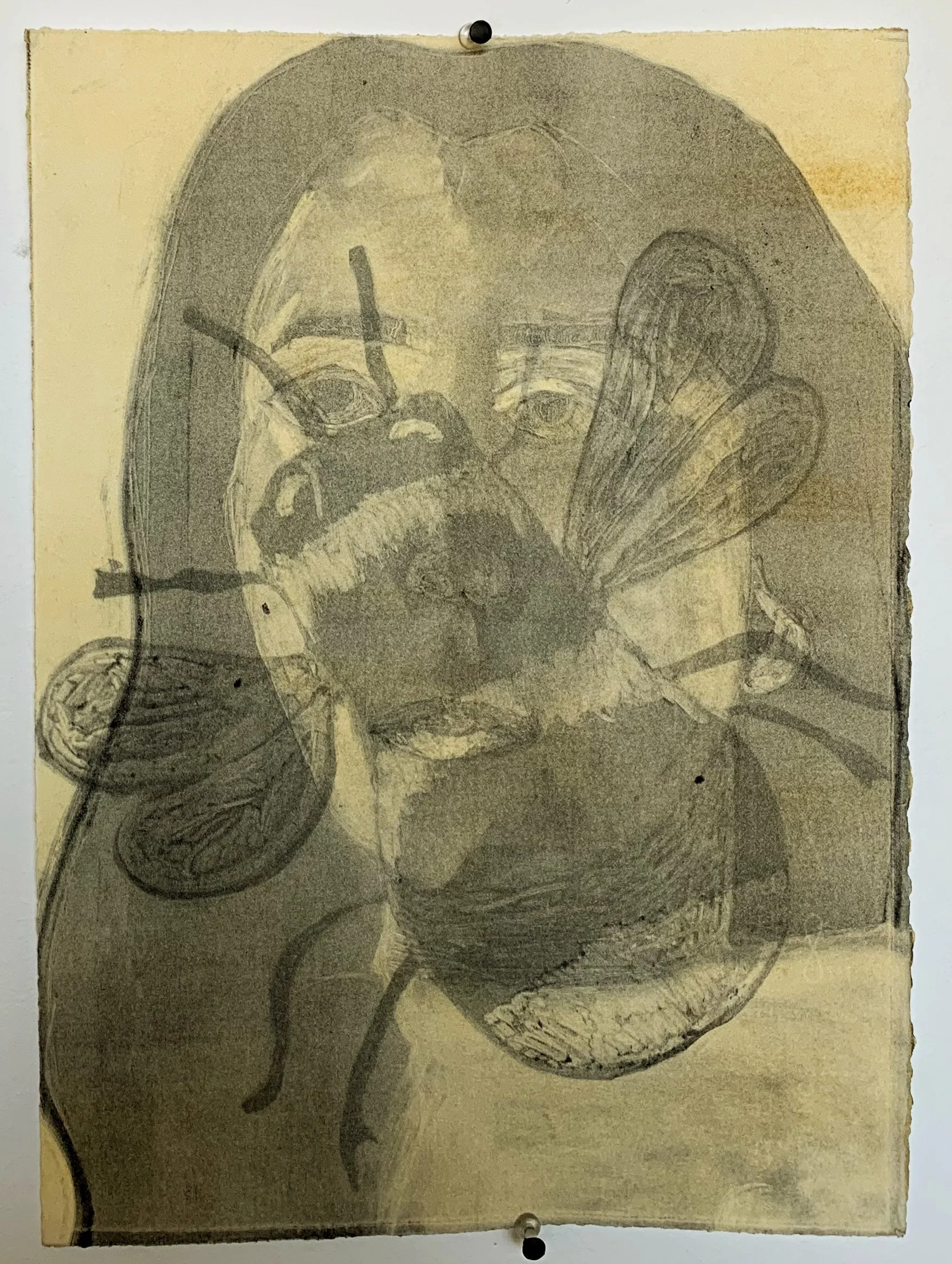 Buzz | 5.5" x 7.5" | Monotype