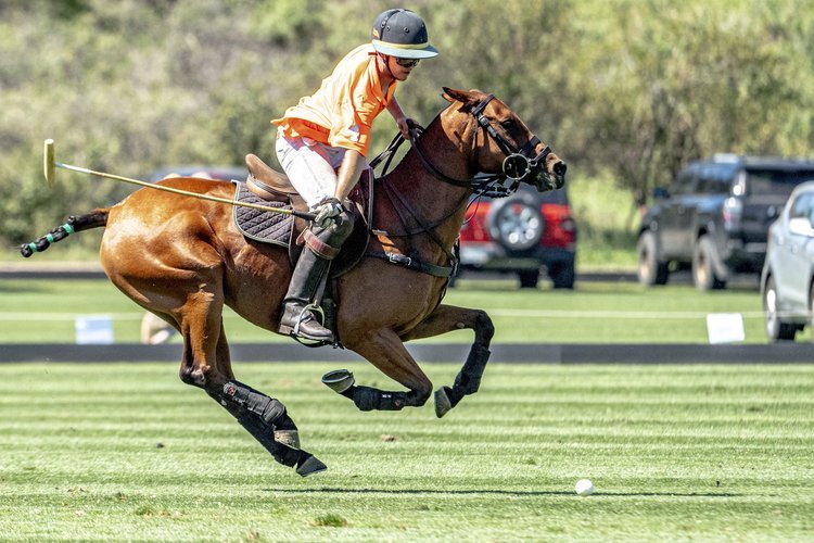 IBCircle Tailgate at Denver Polo, Sept 17 2023