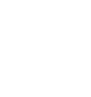 Icon of a document with graphs and a magnifying glass