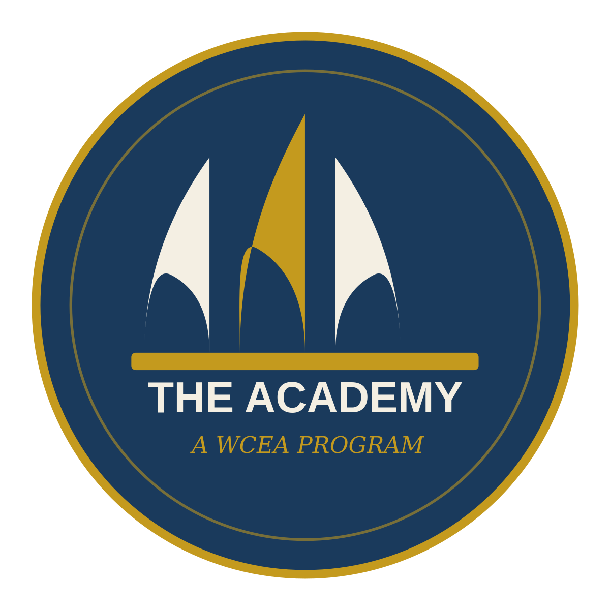 THE ACADEMY — Coming Year 2