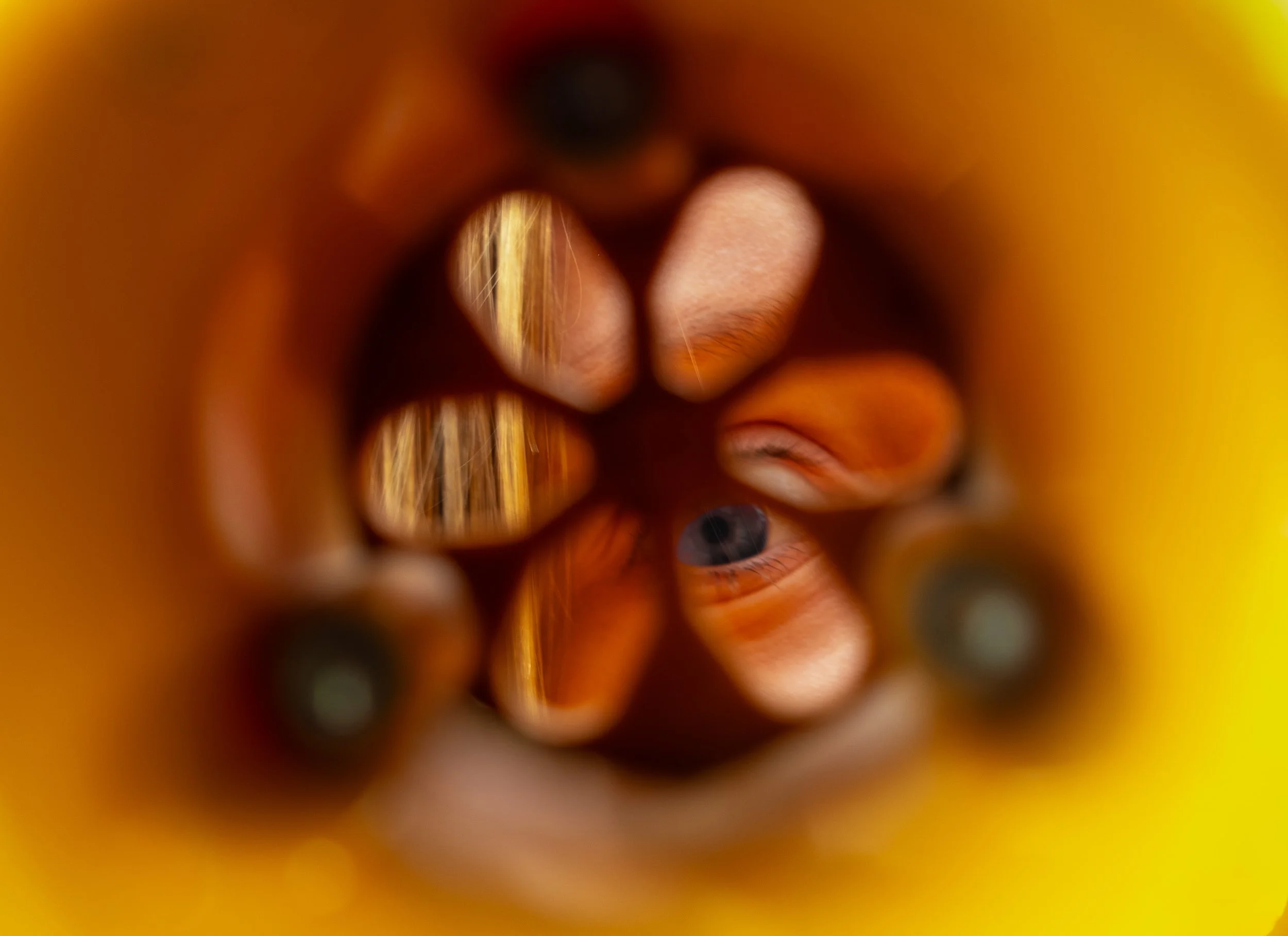 XT303946.jpg