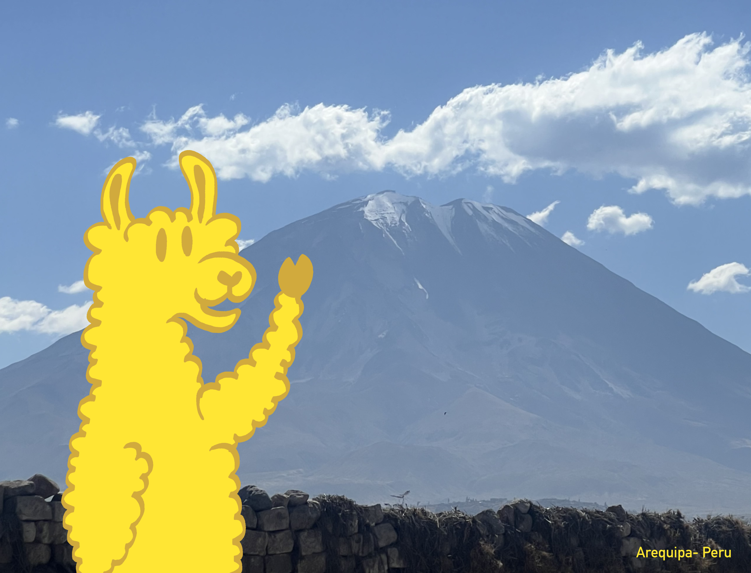happy llama waiving hello in front of Arequipa's volcano called Misti
