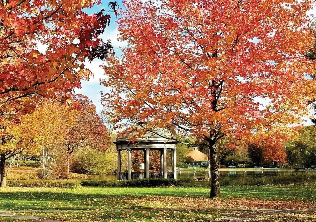 A park scene during autumn with vibrant orange, red, and yellow leaves on trees. A small white pavilion with columns is near a pond, surrounded by green grass and fallen leaves.