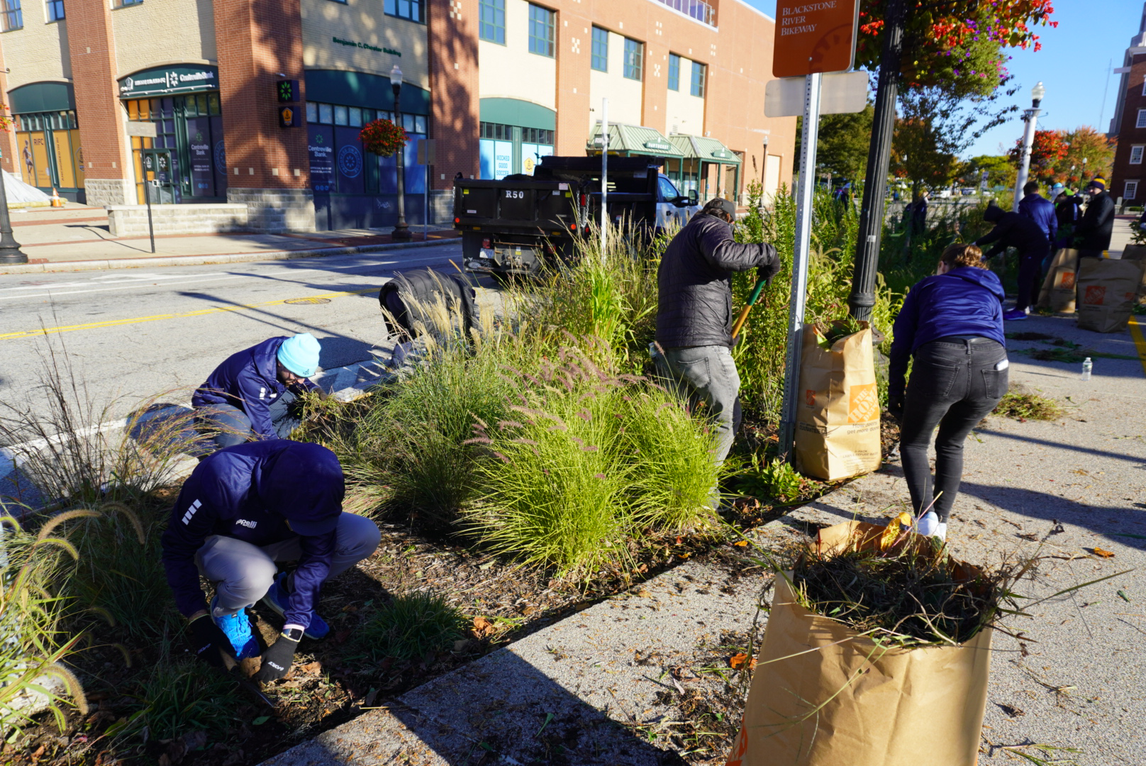 Group of people planting flowers and planting bushes in a sidewalk garden bed along a city street during daylight.