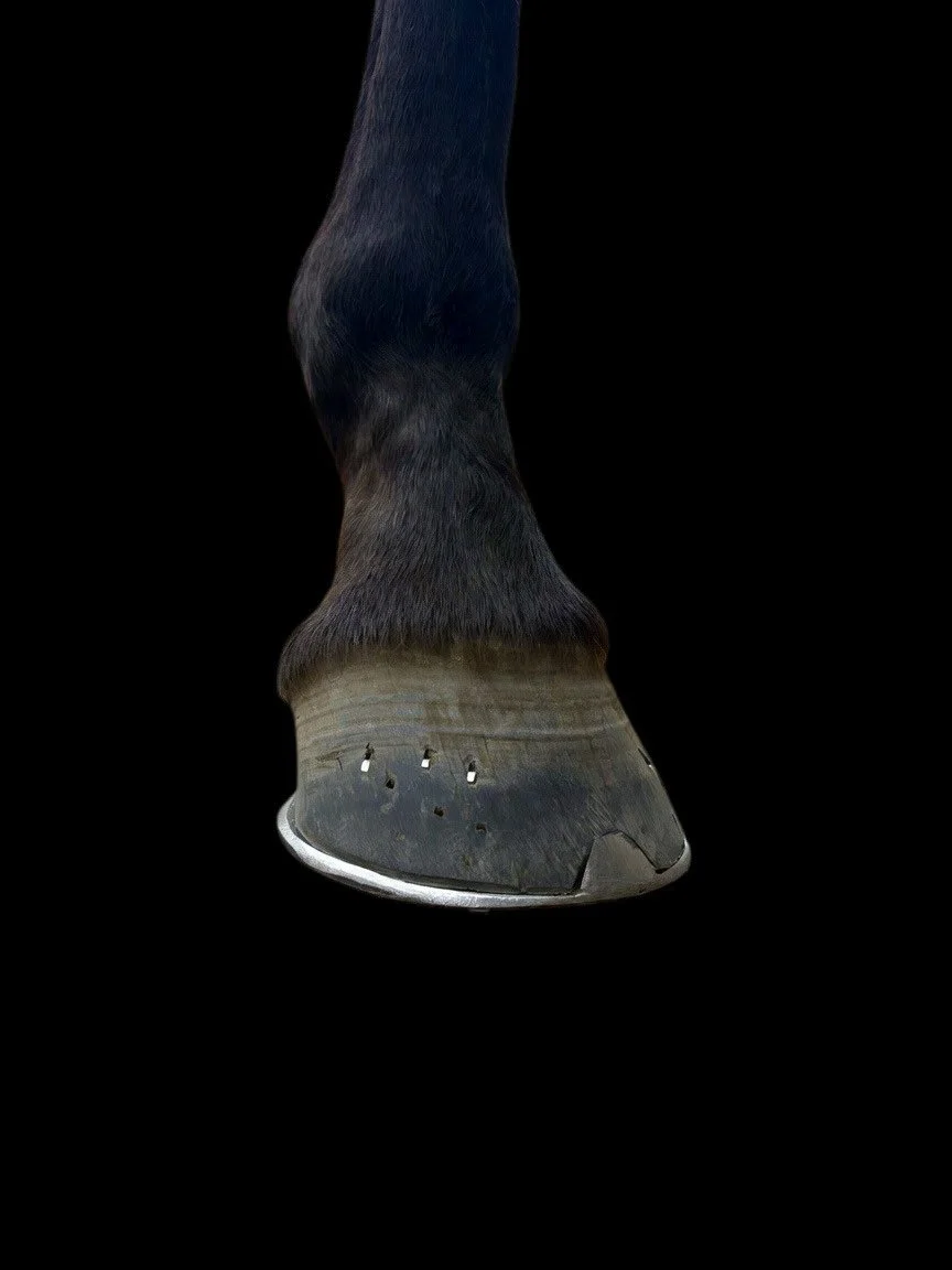 Standard full set of shoes