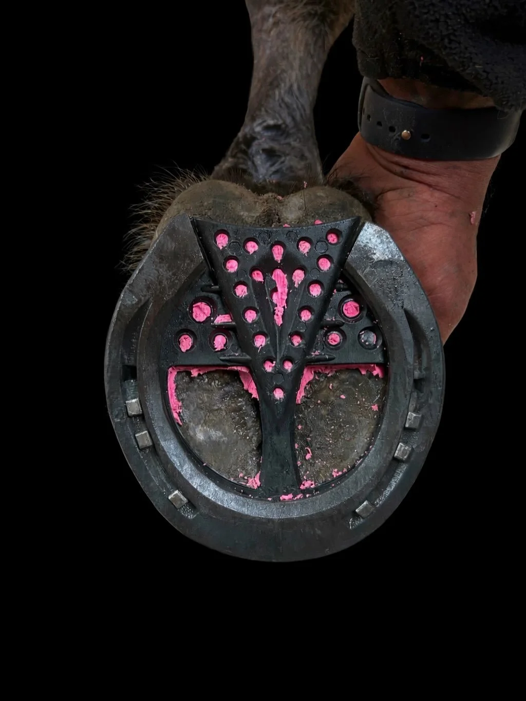 Frog support pads / hoof cushion.