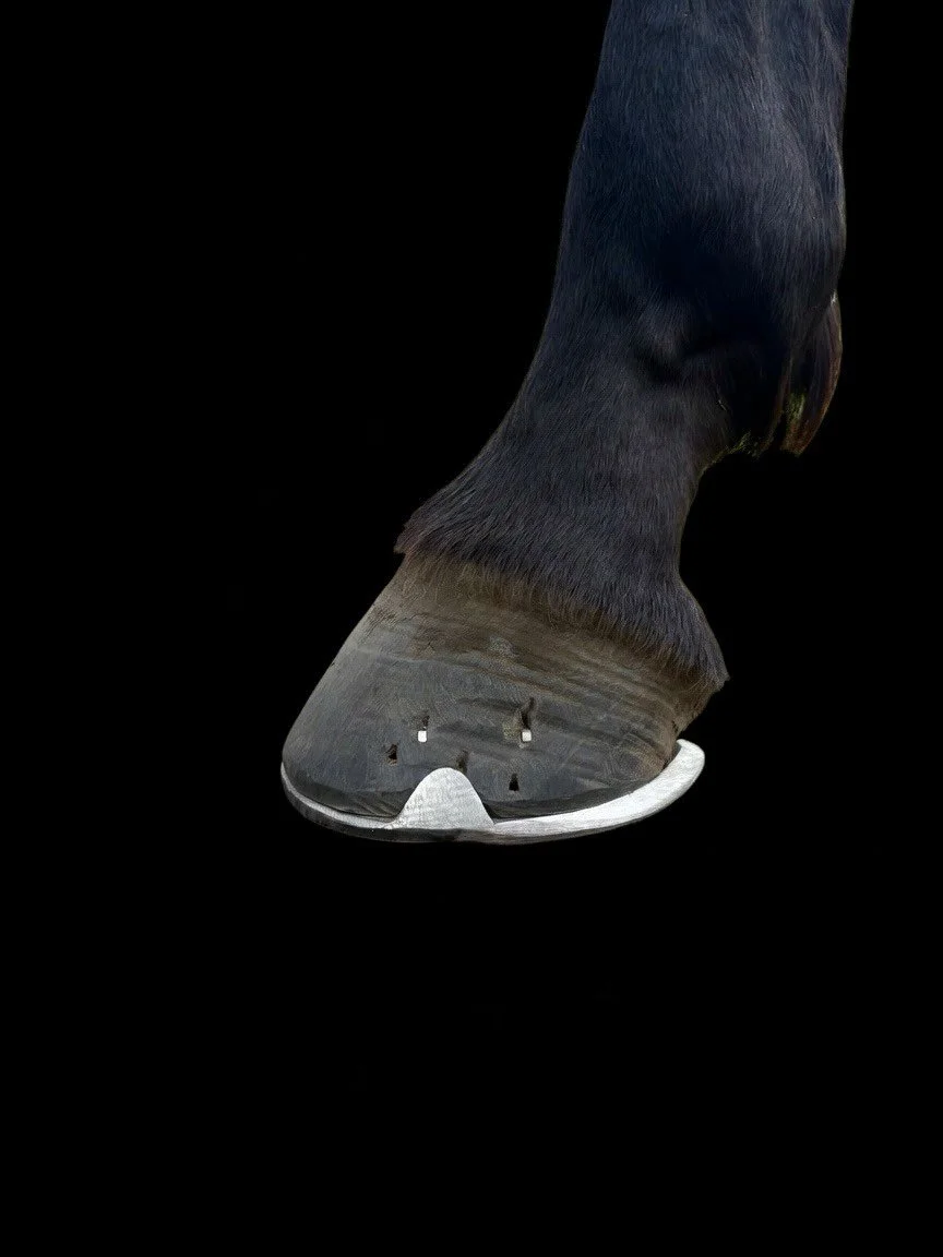 721289998_18080637443644308_7661302831382863551_n.jpg