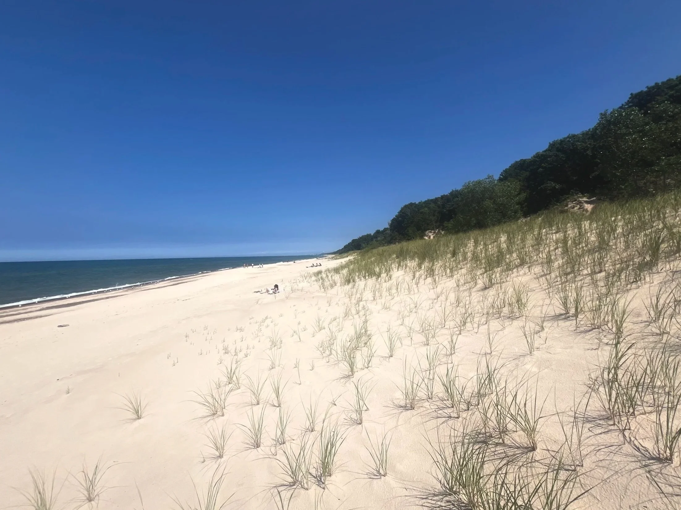 The Lake Doesn’t Know It’s A Beach