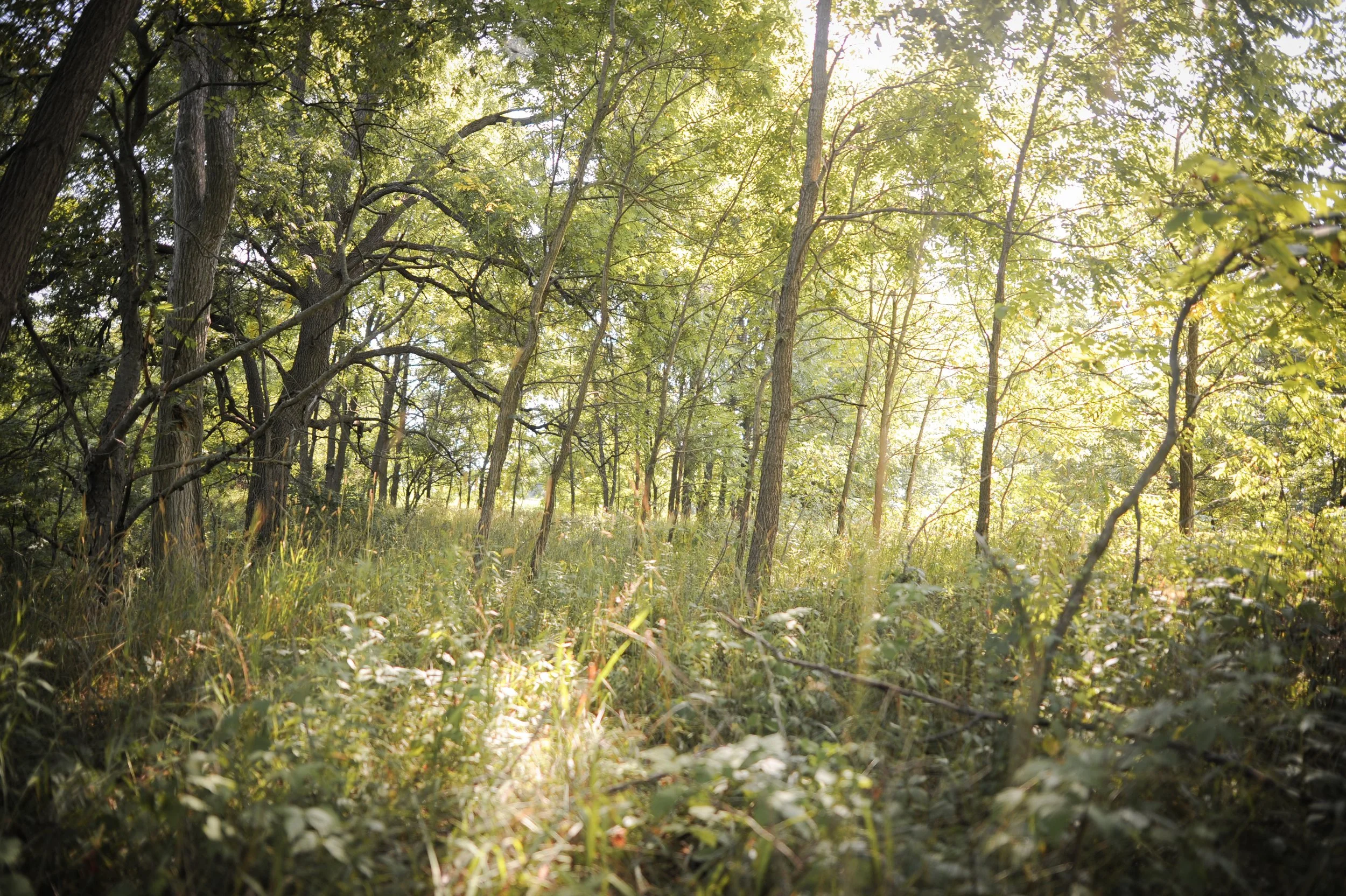 The Hunting Is Secondary To The Hunting 