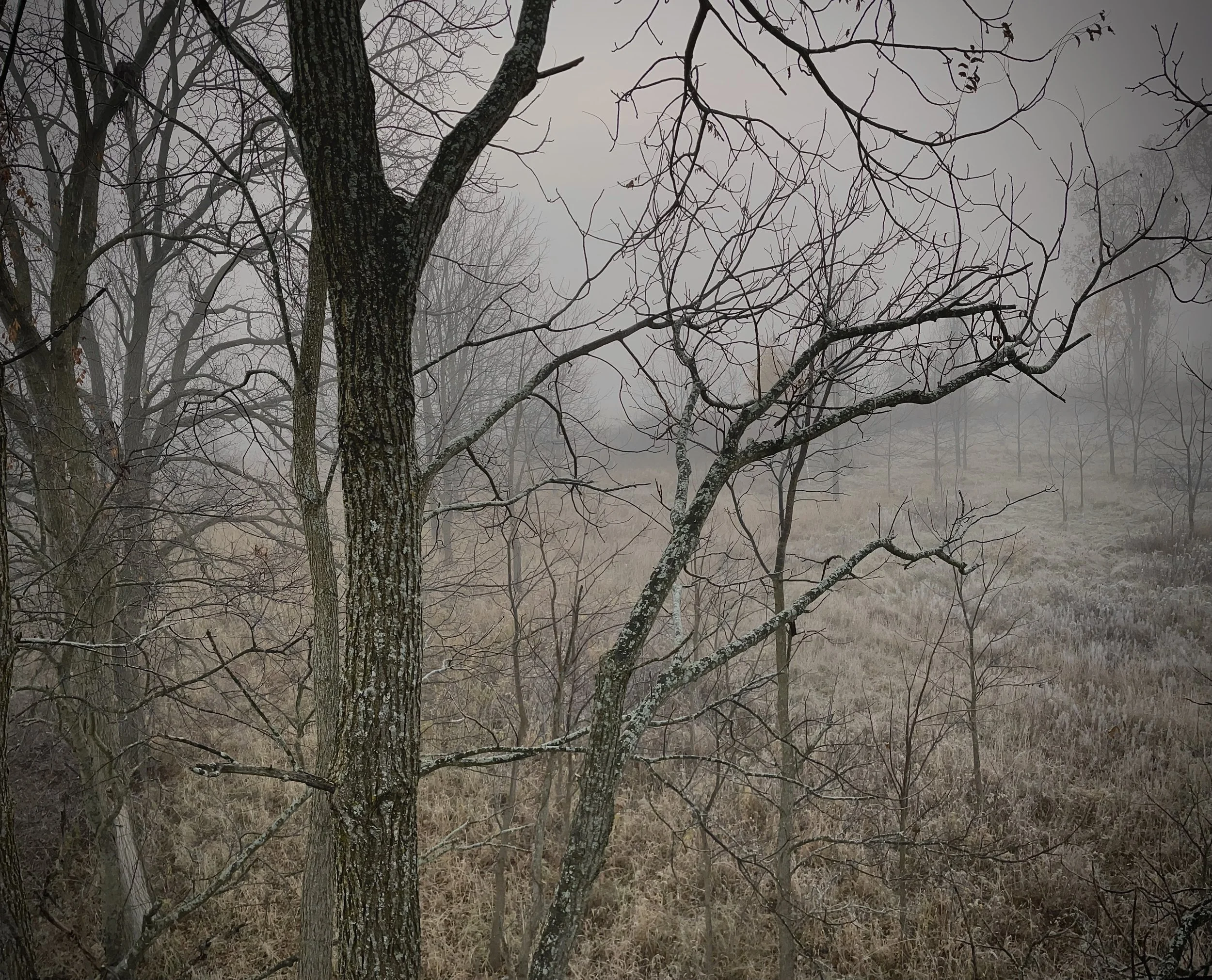 I Don’t Get Enough Fog In My Life