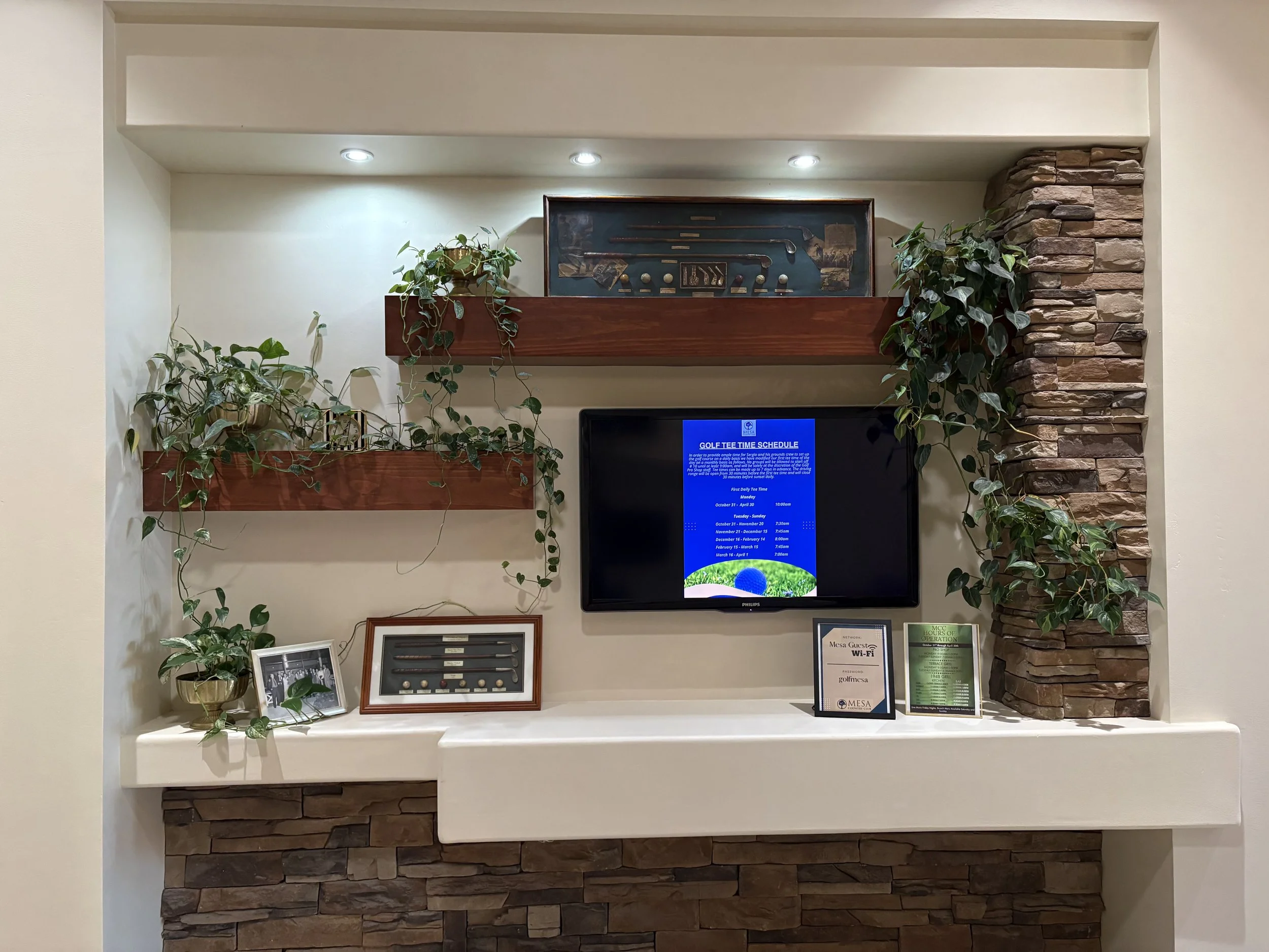 A decorative wall display featuring potted plants, framed photographs, a framed display case, a digital schedule board, and a combination of wood and stone wall accents.