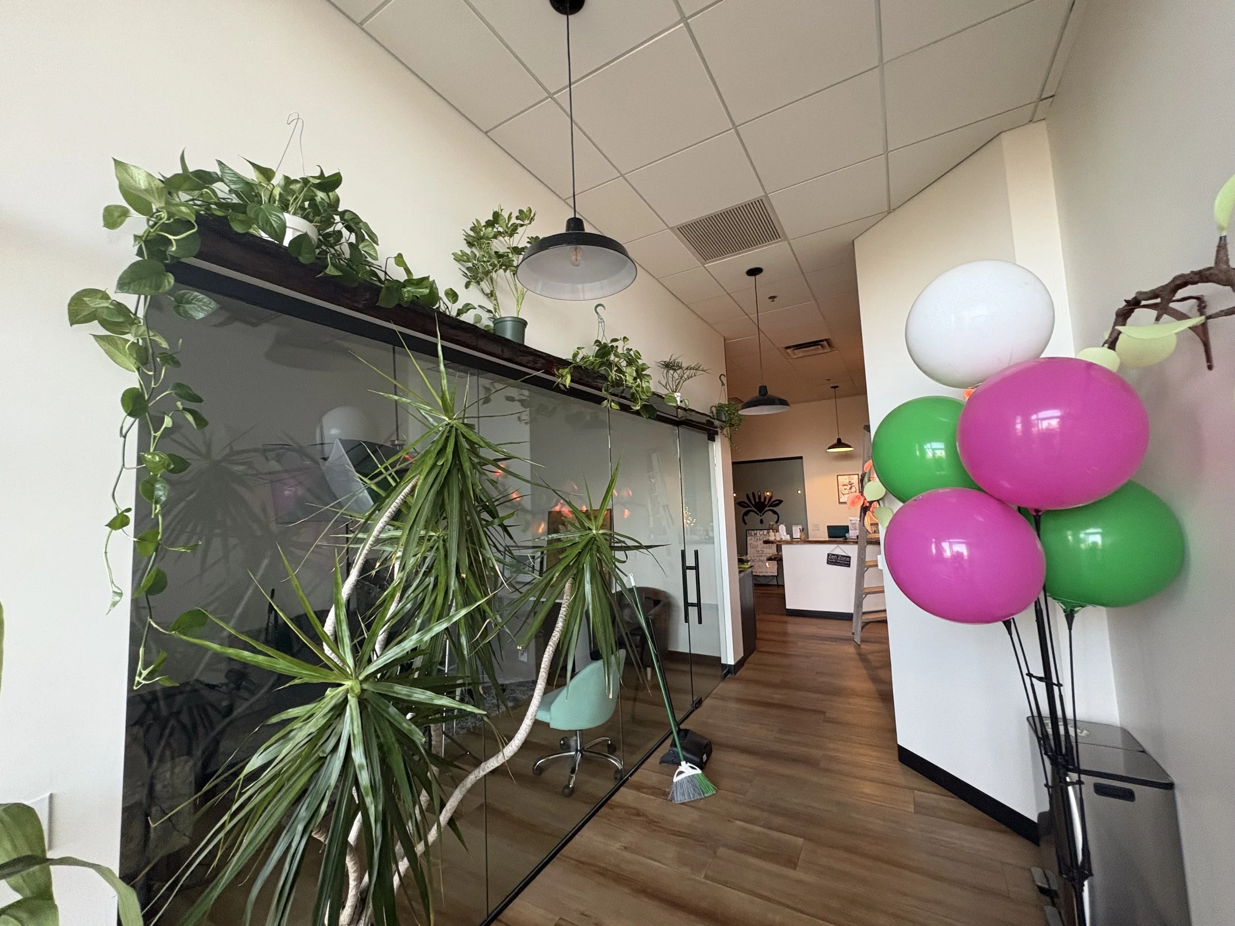 Interior of a room decorated with green and pink balloons, various houseplants, a mop leaning against the wall, and a glass door leading to another room with framed artwork on the wall.