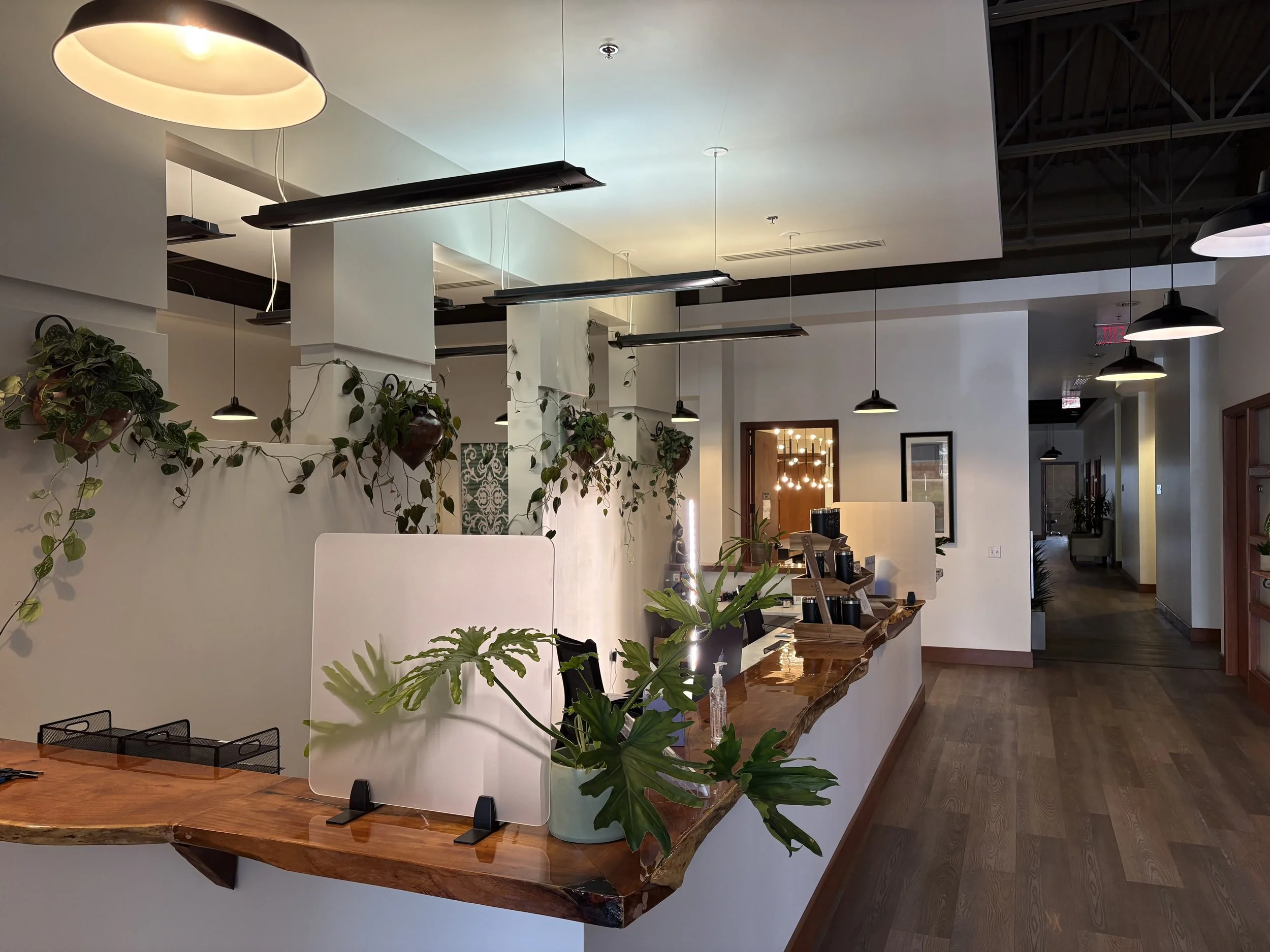 Interior of a modern office space with hanging lights, indoor plants, a wooden reception desk, and framed artwork on the walls.