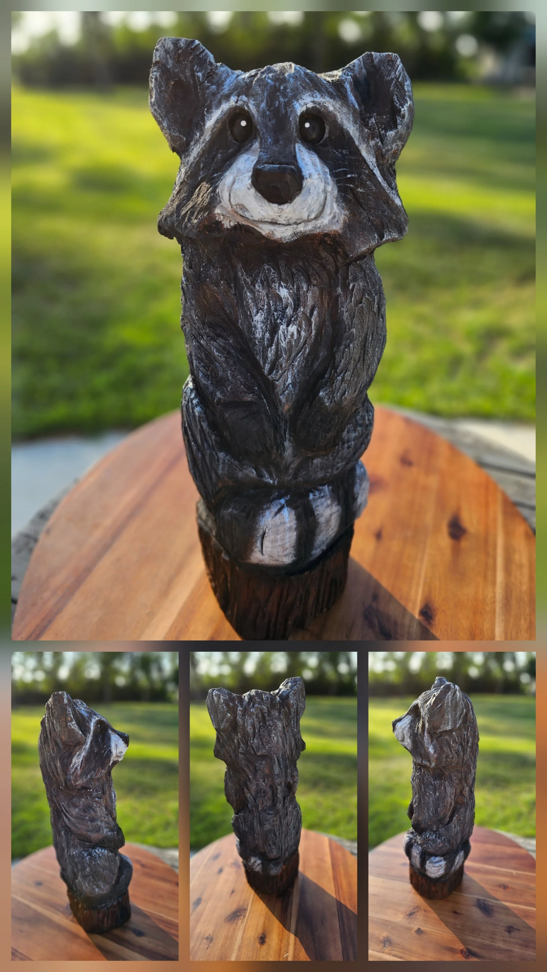 Raccoon