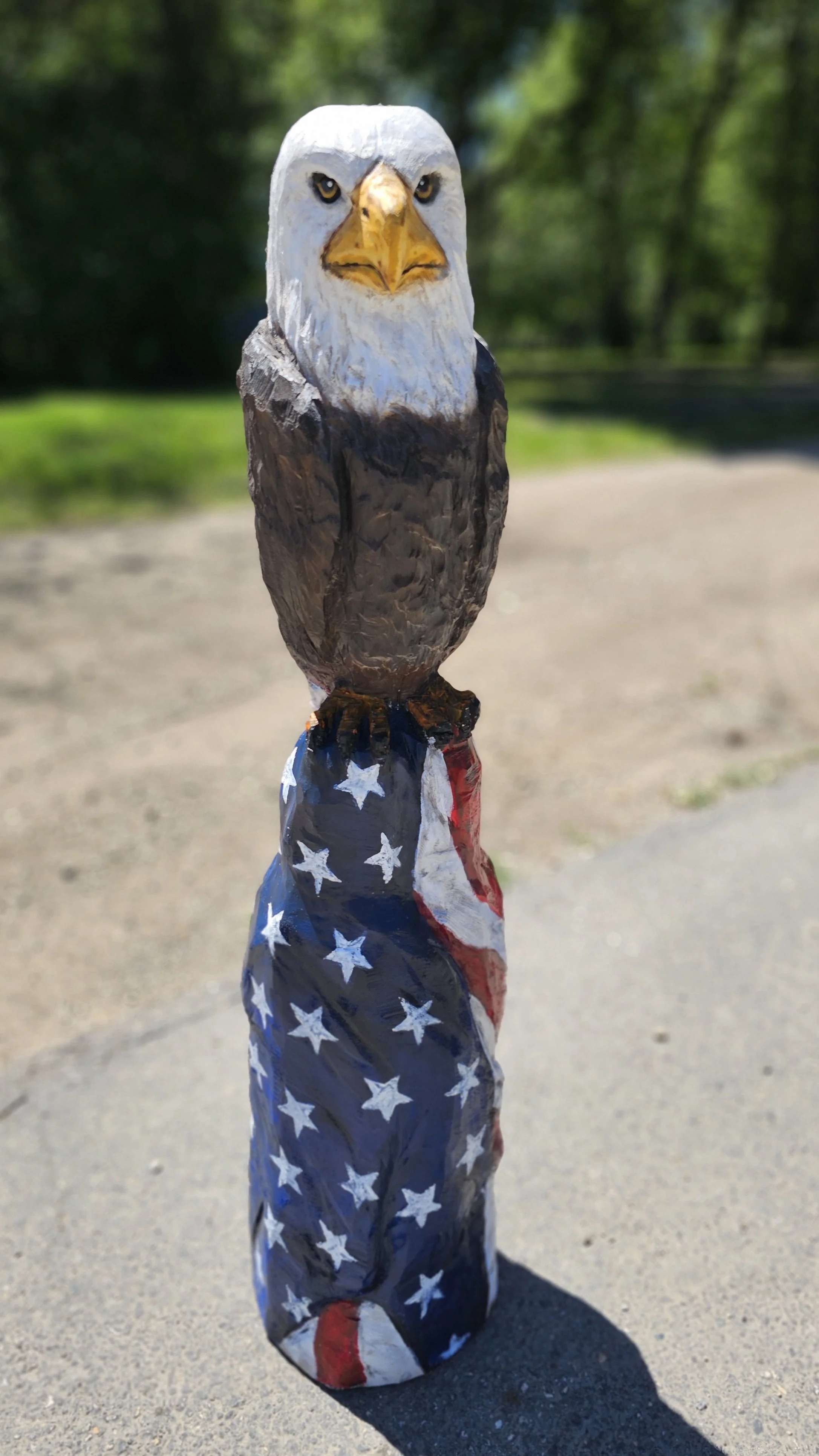 Eagle and Flag