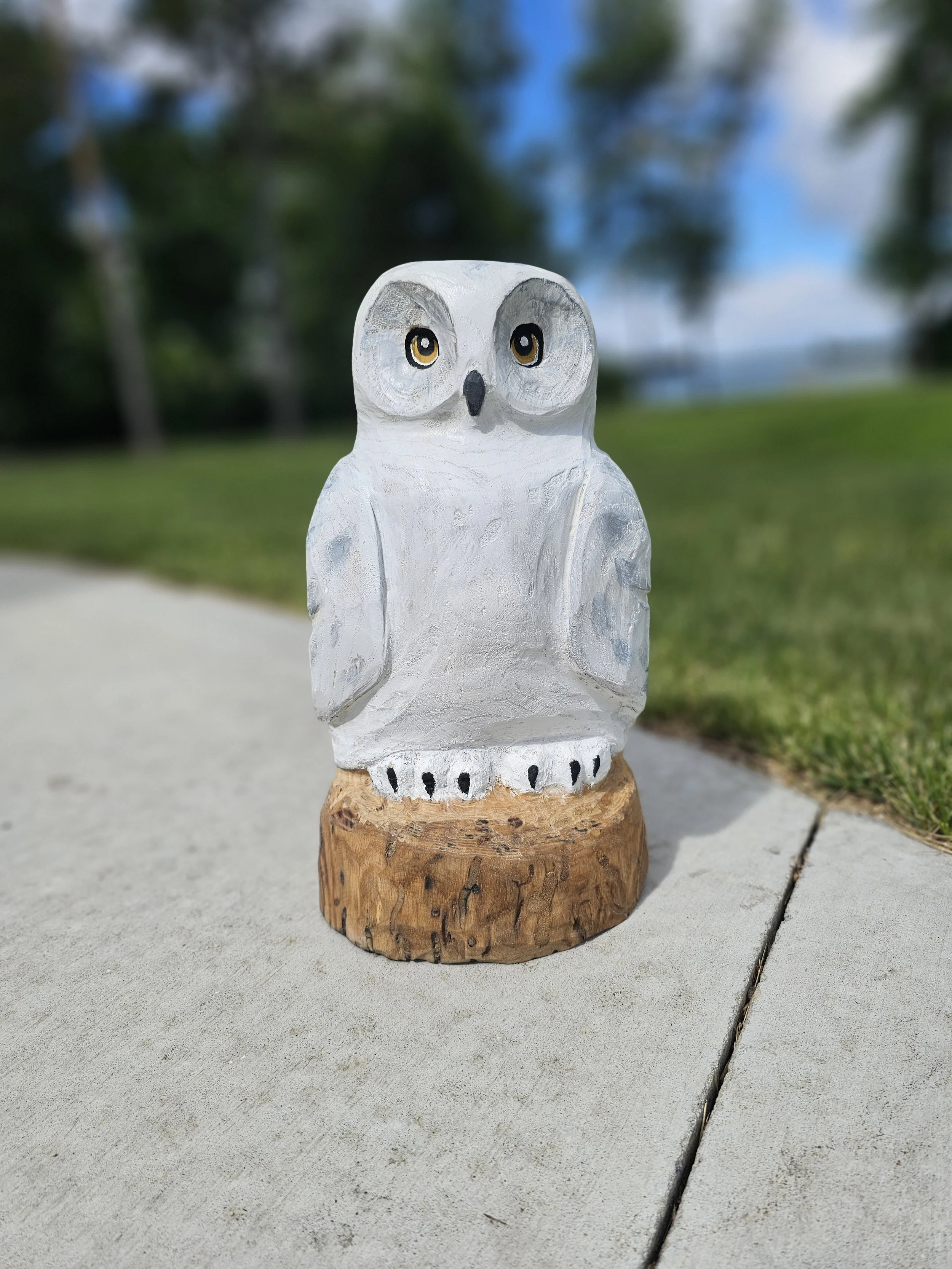 Snow Owl front.jpg
