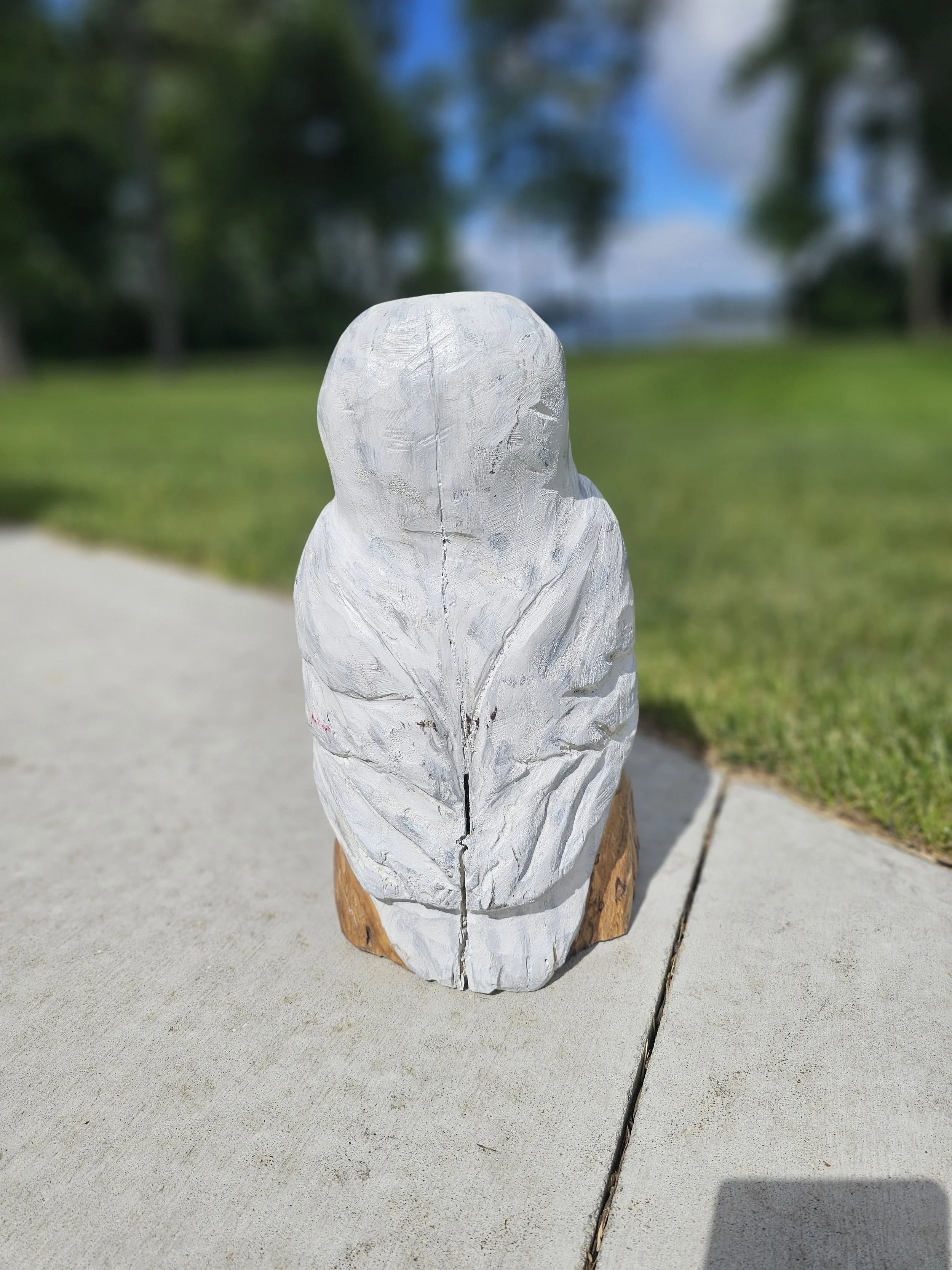 Snow Owl back.jpg