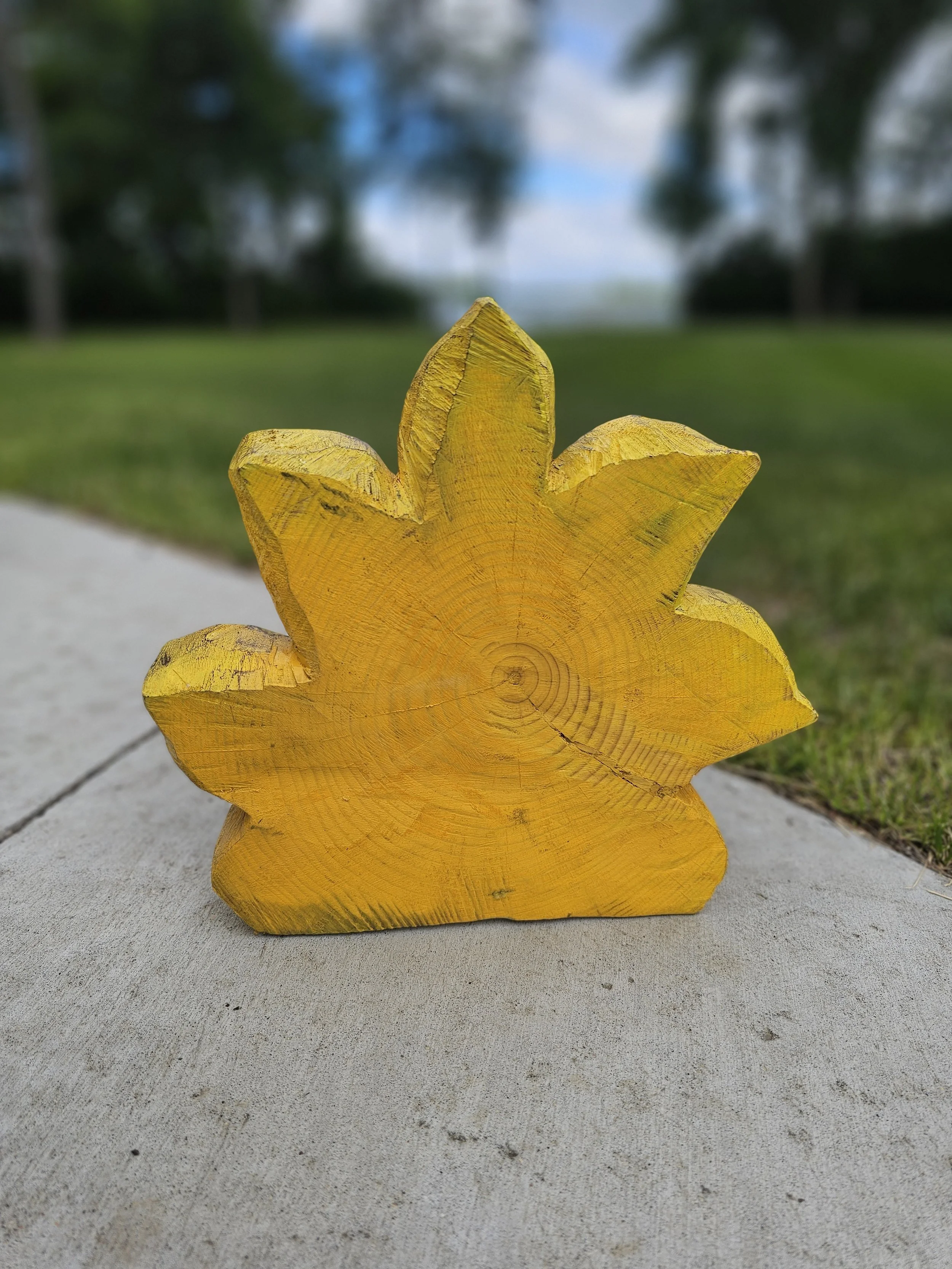 Sunflower back.jpg